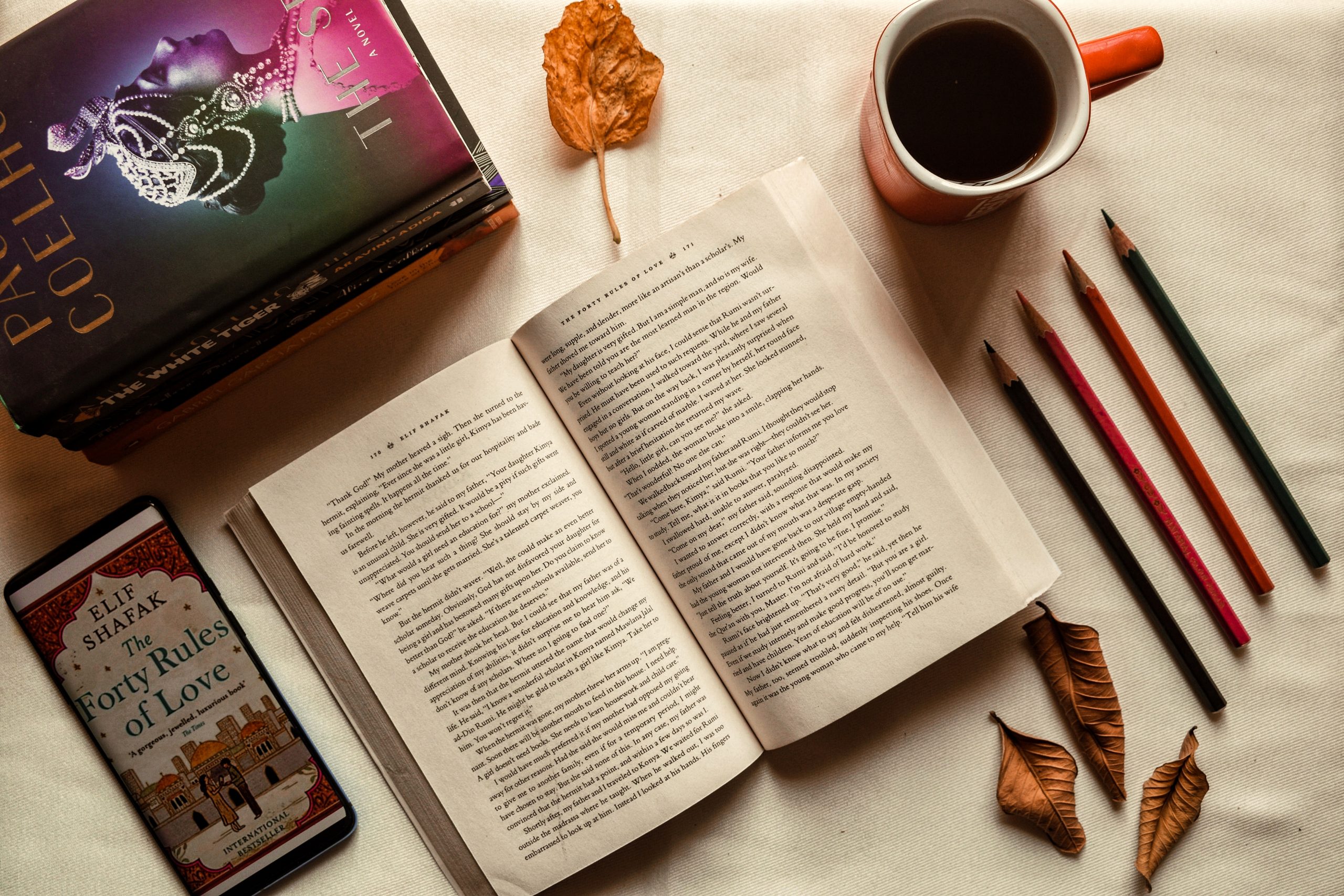 books, pencils, coffee mug, dried leaves