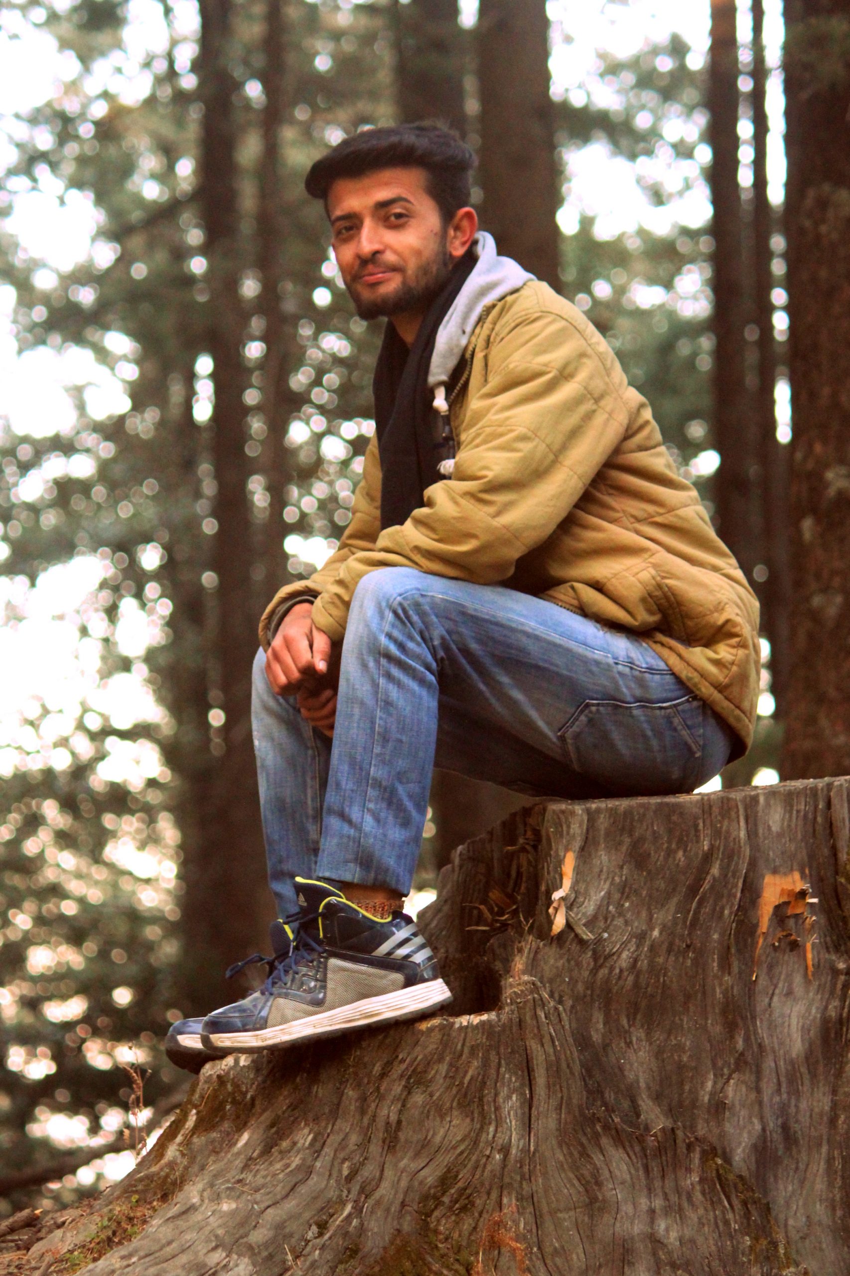 man sitting in forest