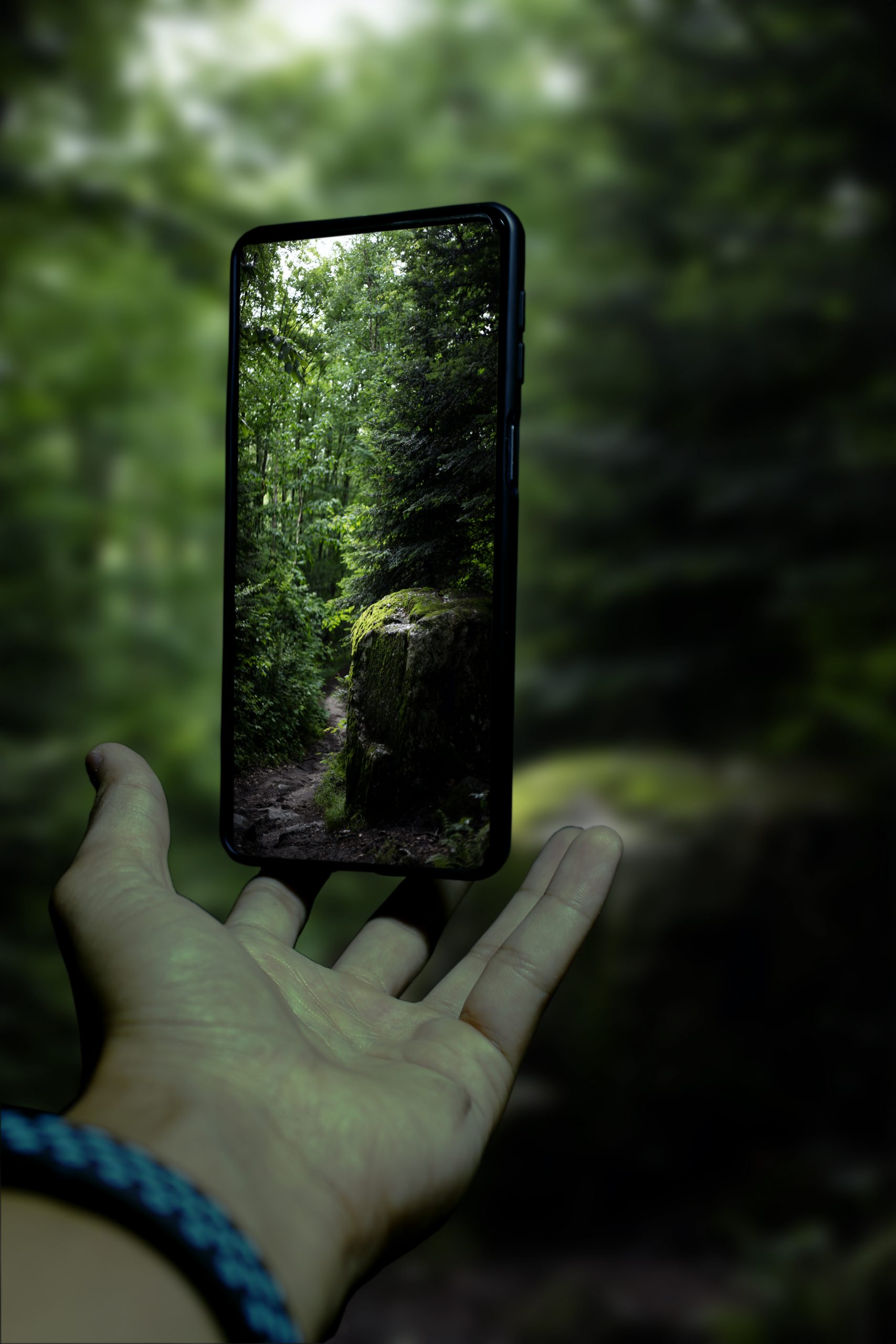 Capturing nature image with smartphone