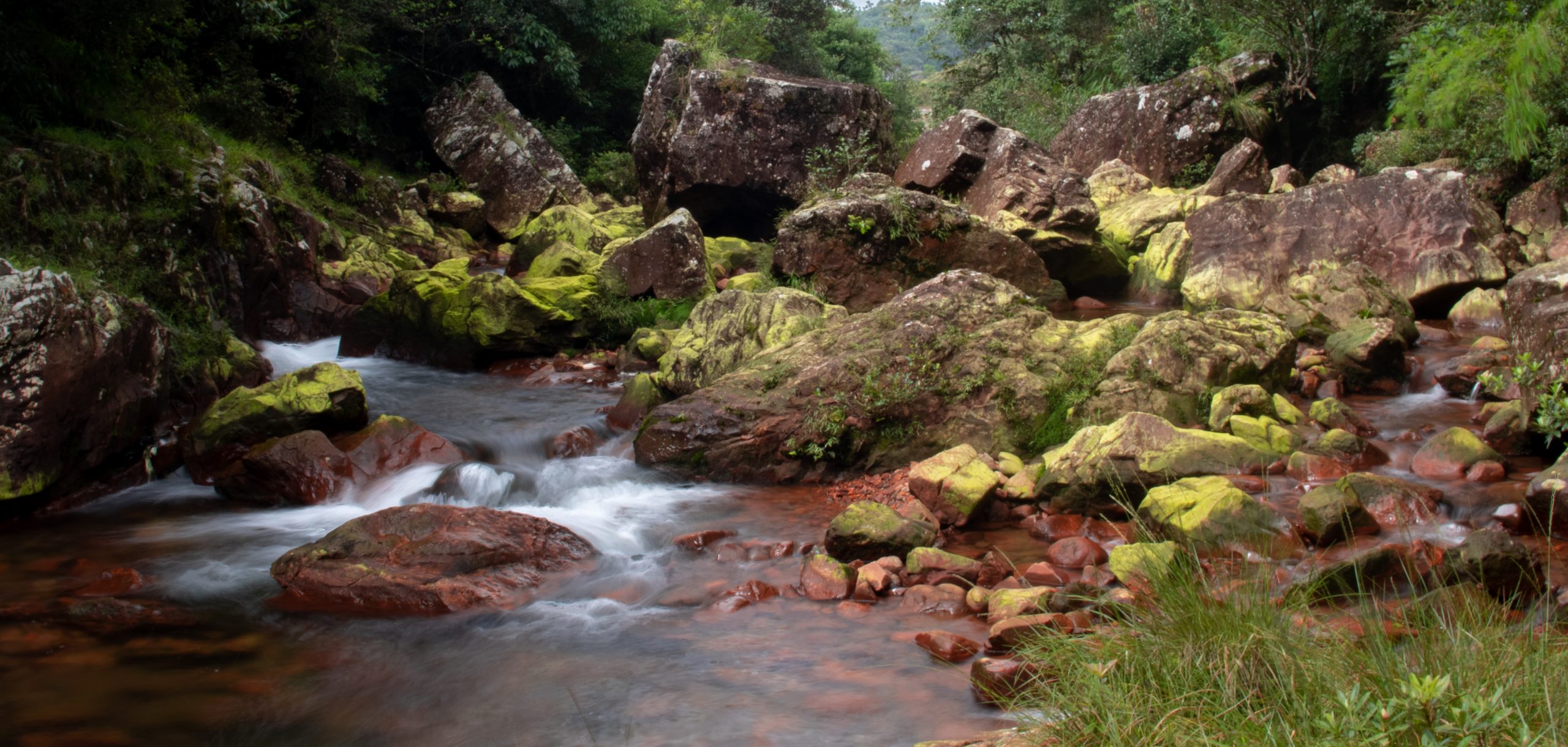 water flowing in a stream