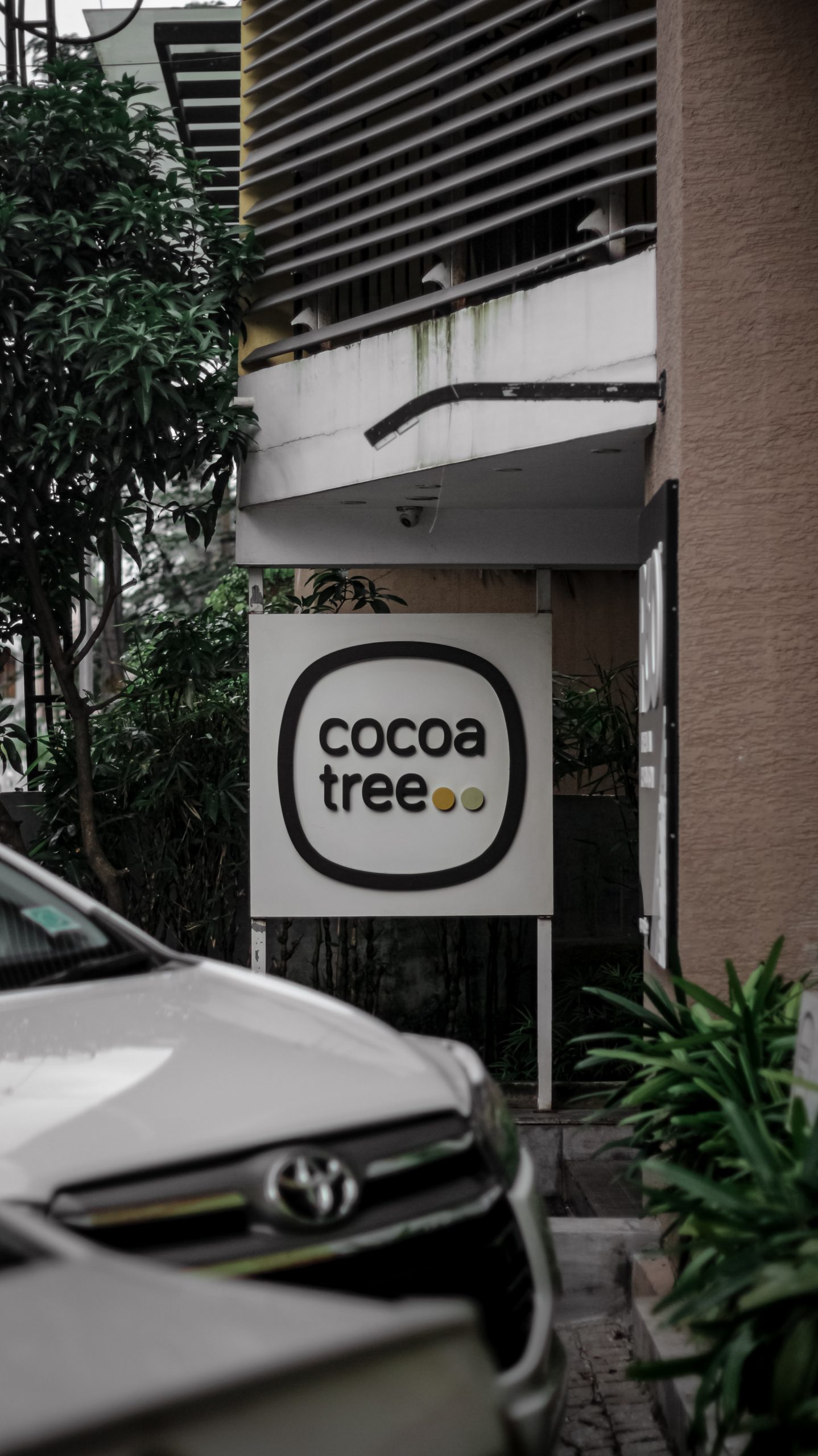 Cocoa Tree Café
