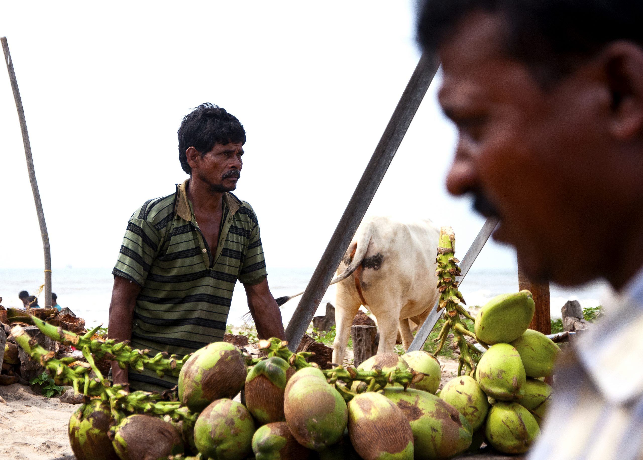 Man selling coconuts