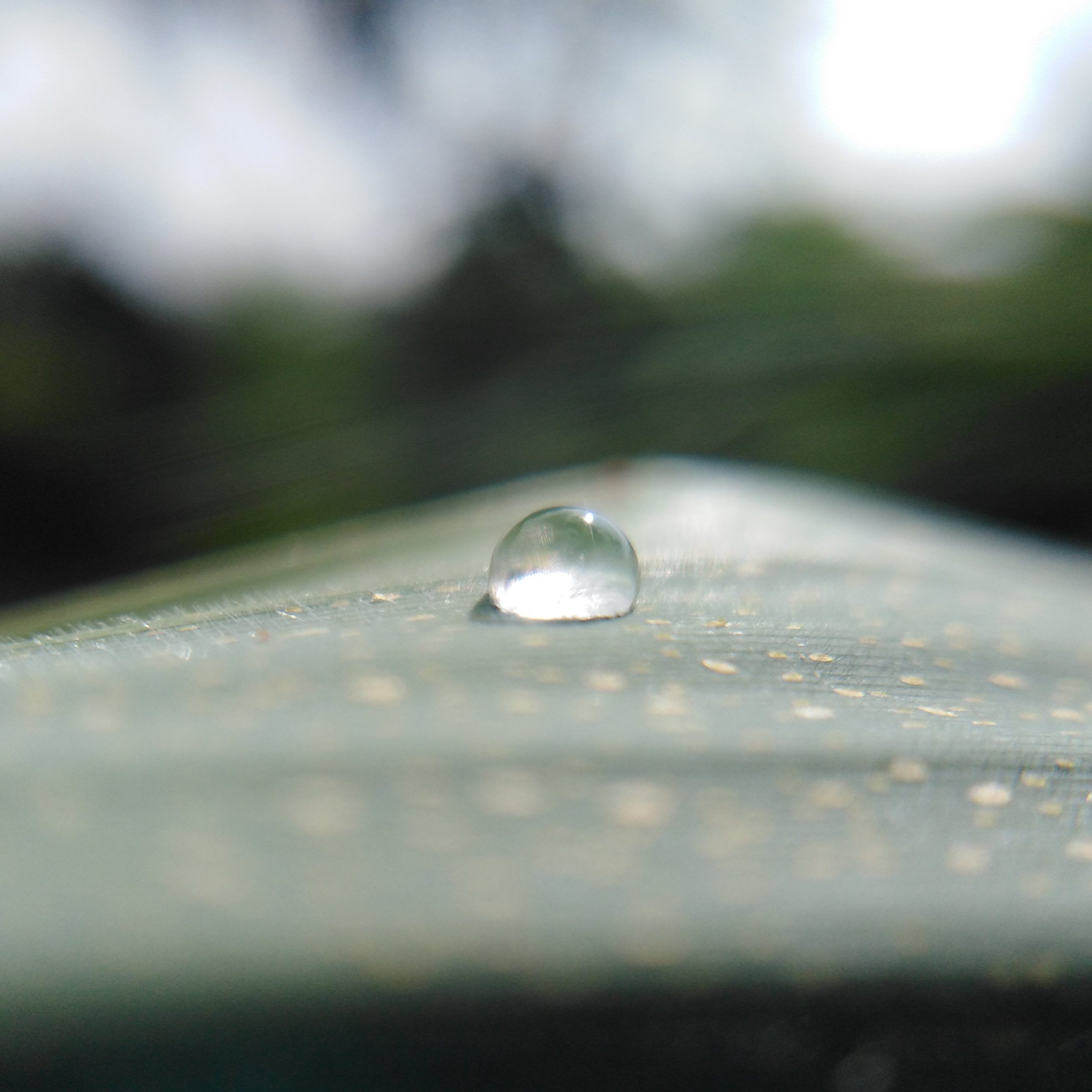 water drop