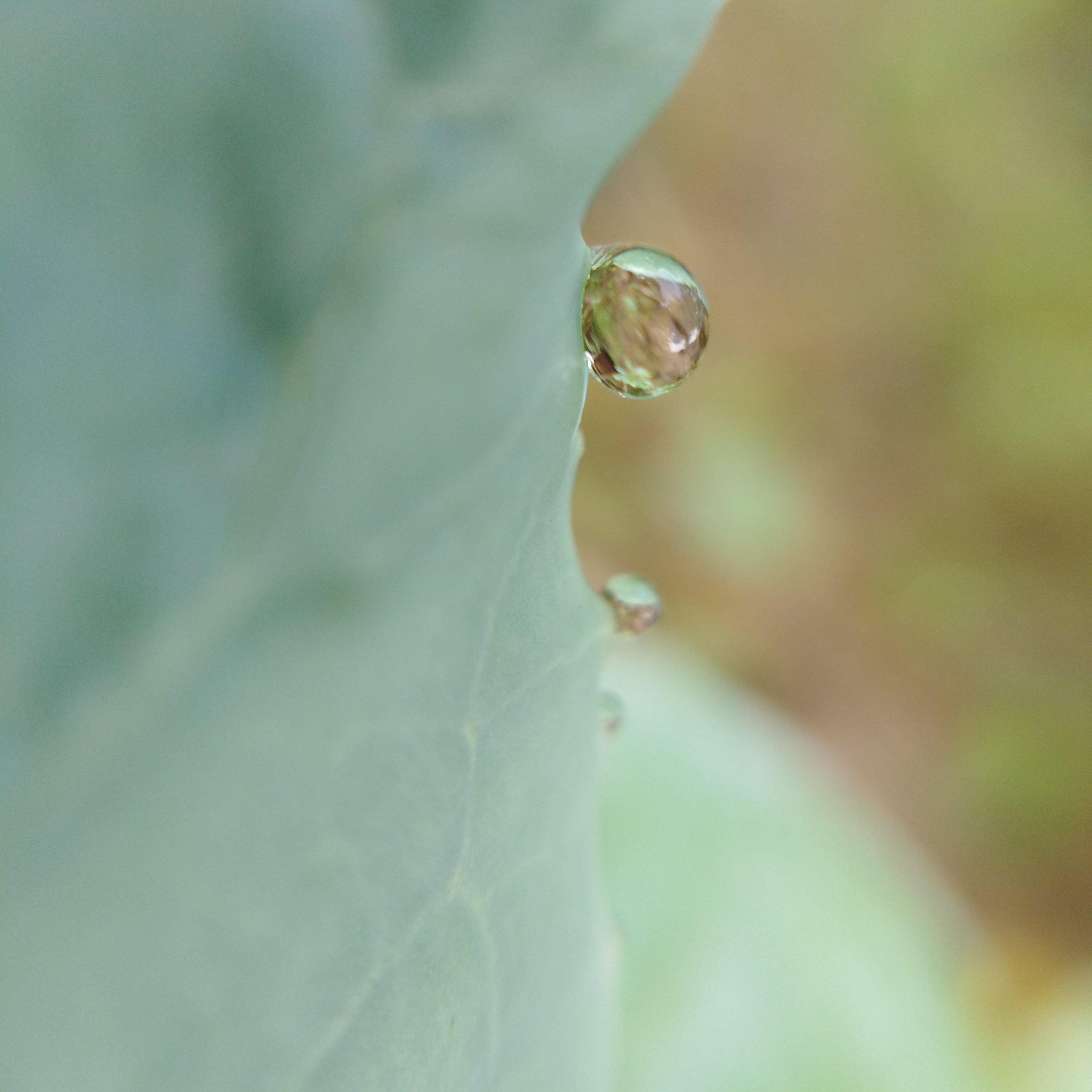 water drop