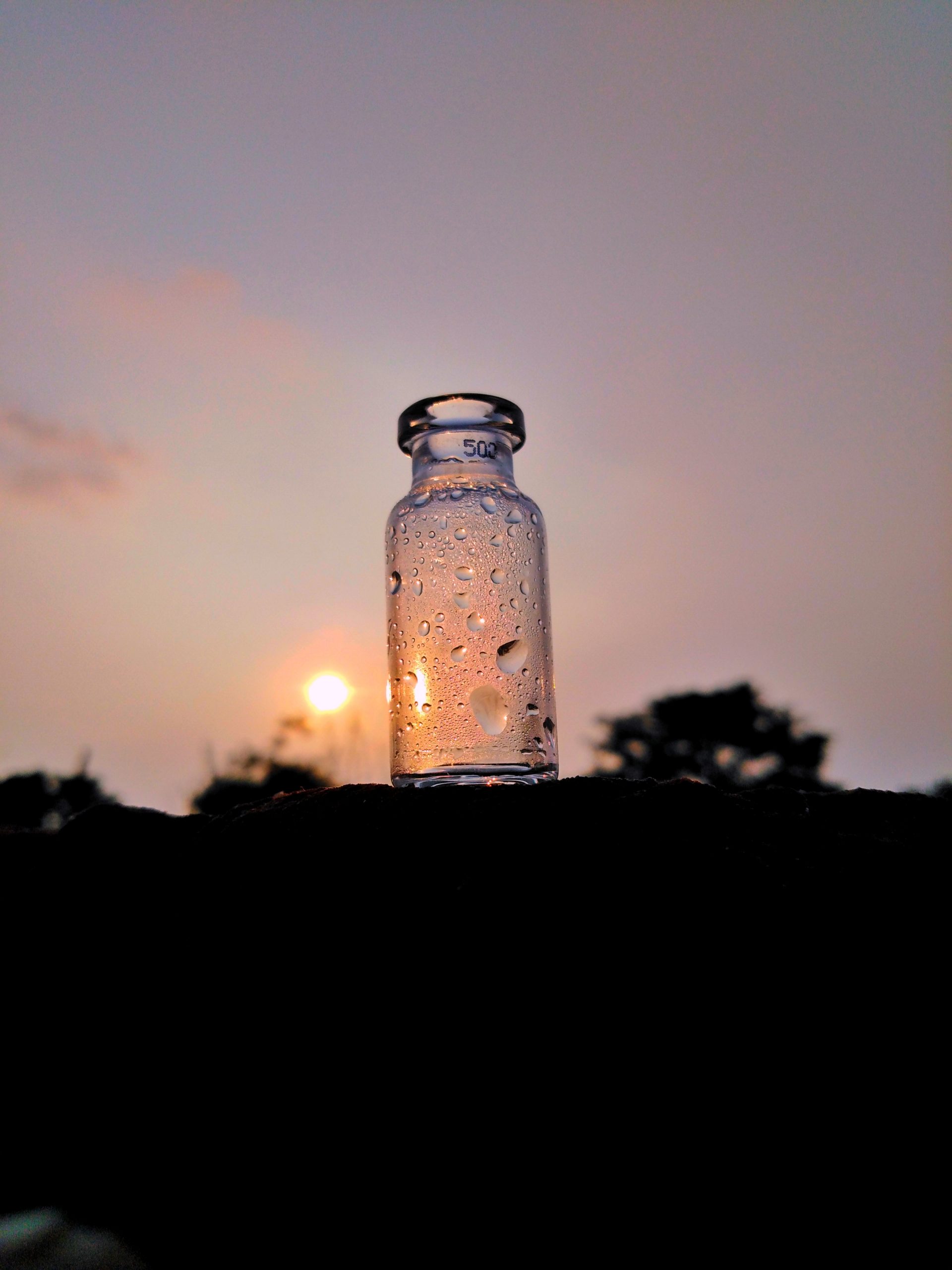 drops on bottle against sunlight