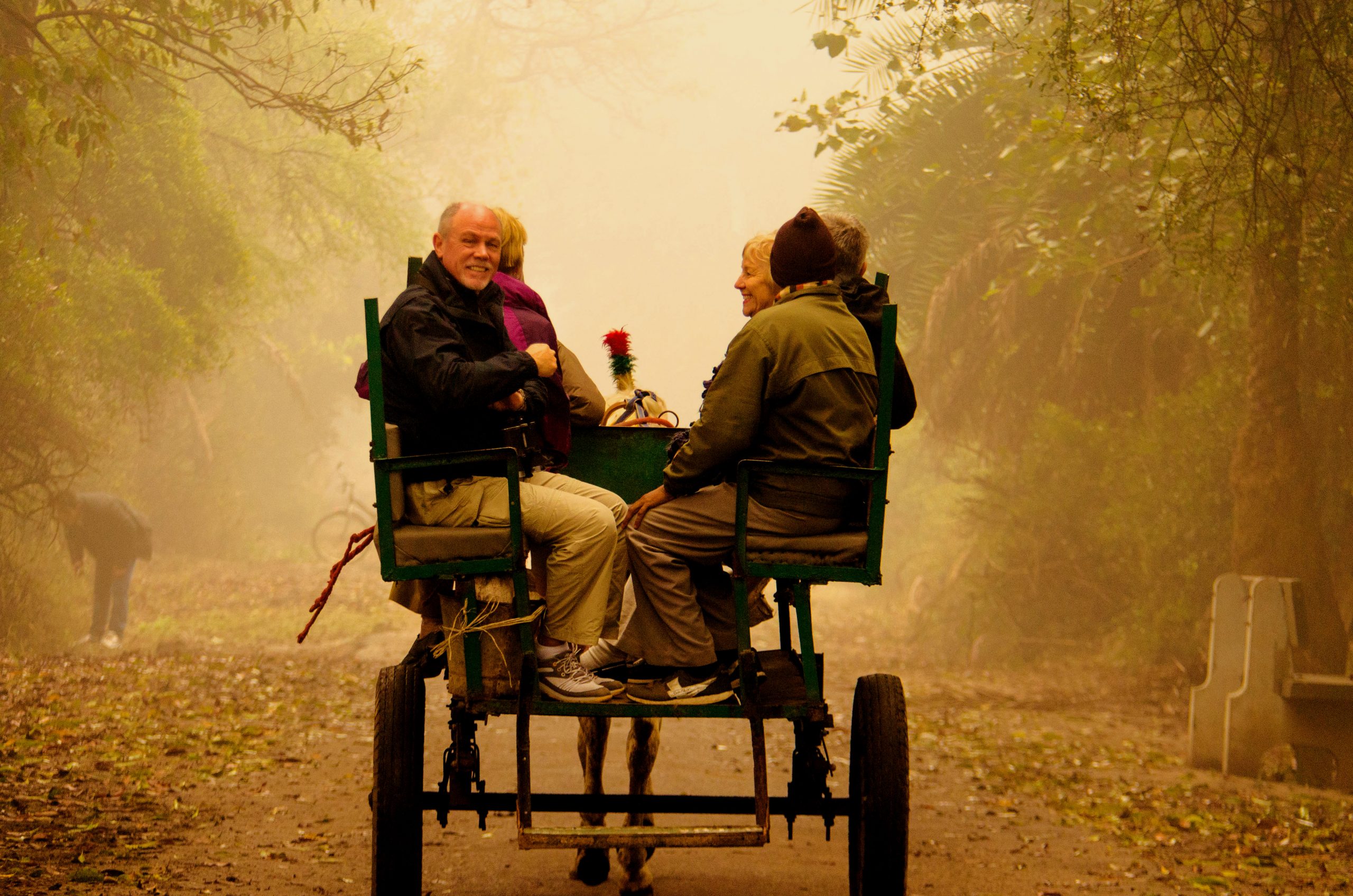 people on a horse cart