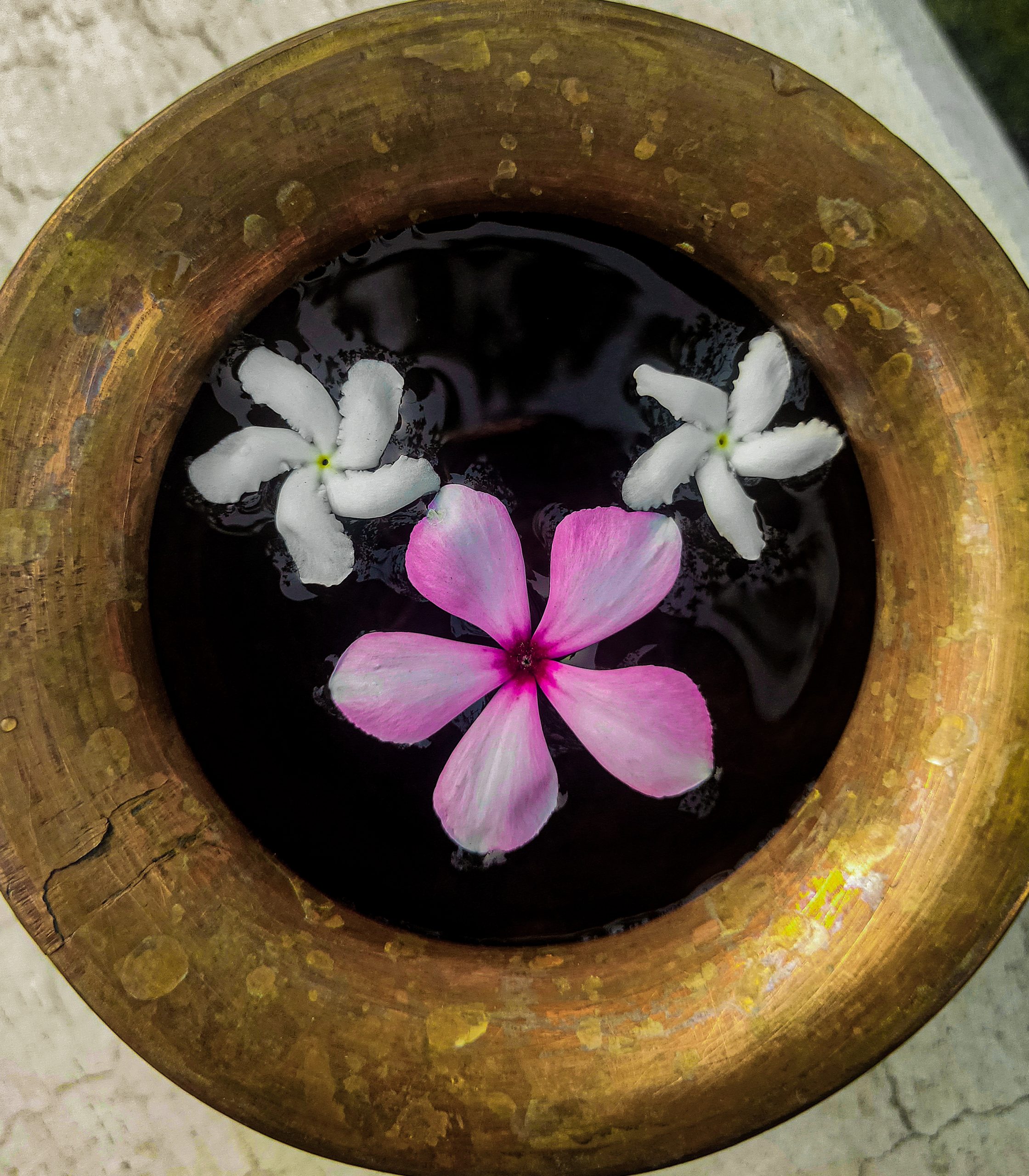 Flowers in a brass pot.