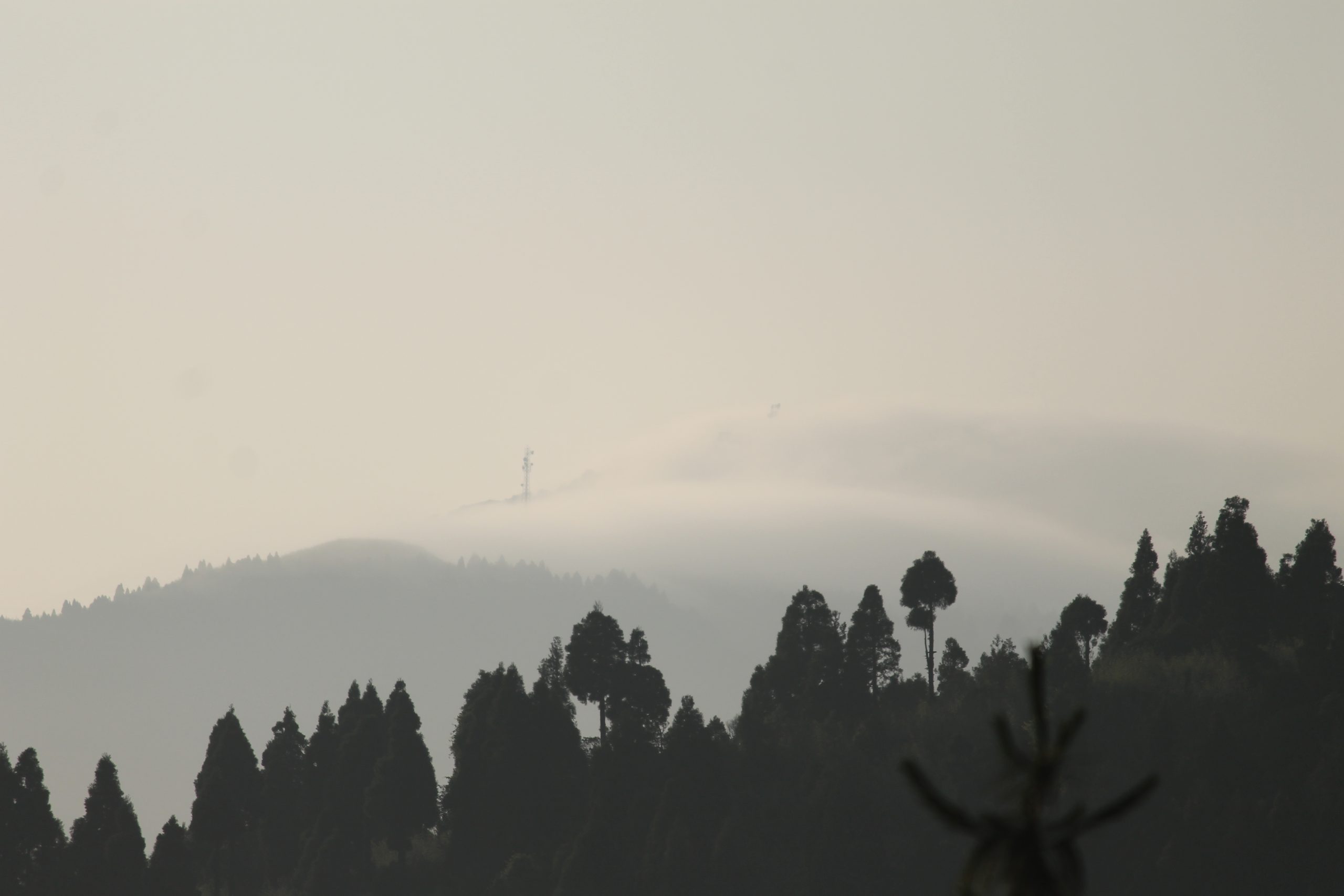 Fog on mountains