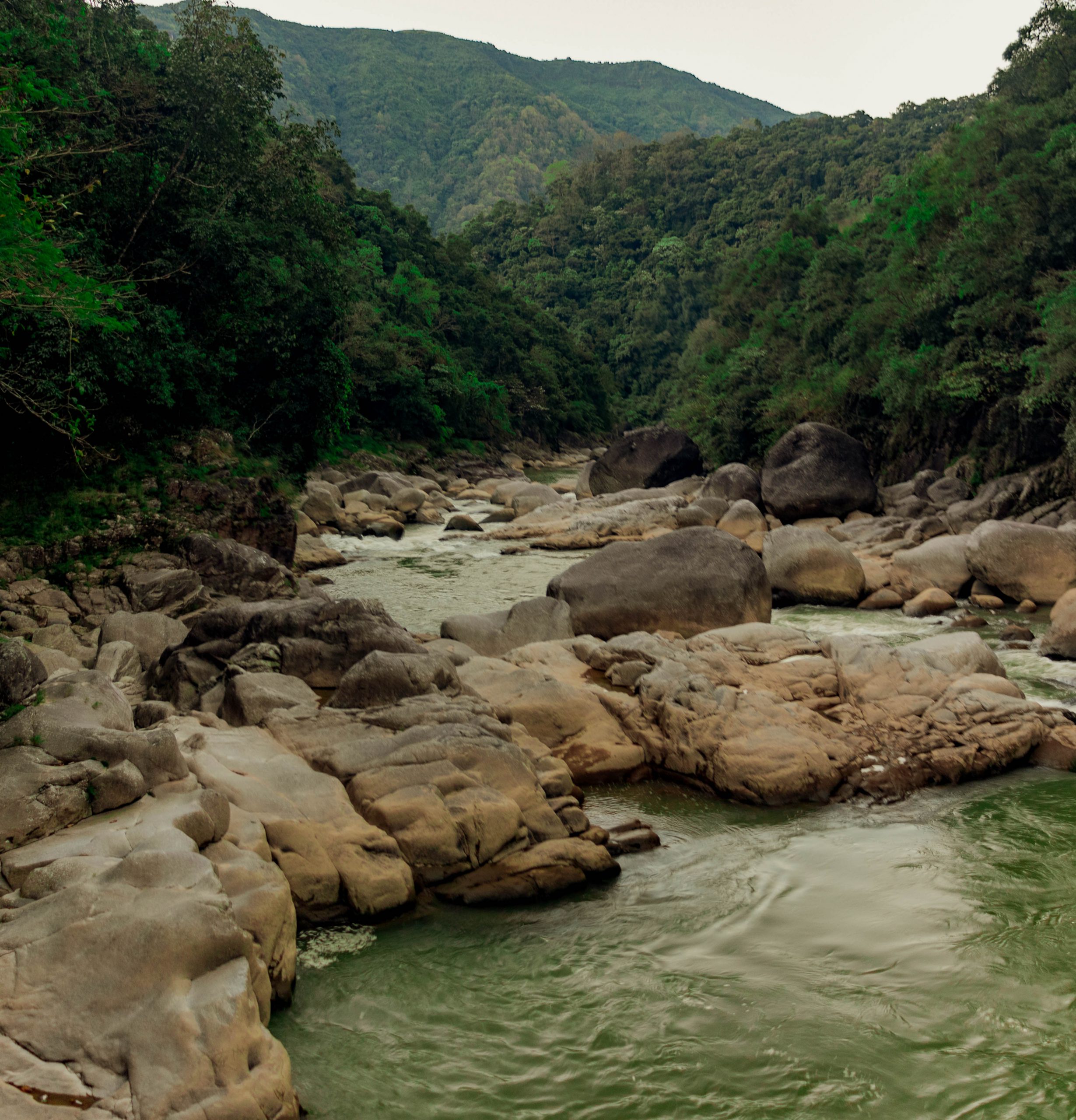 Nature Landscape