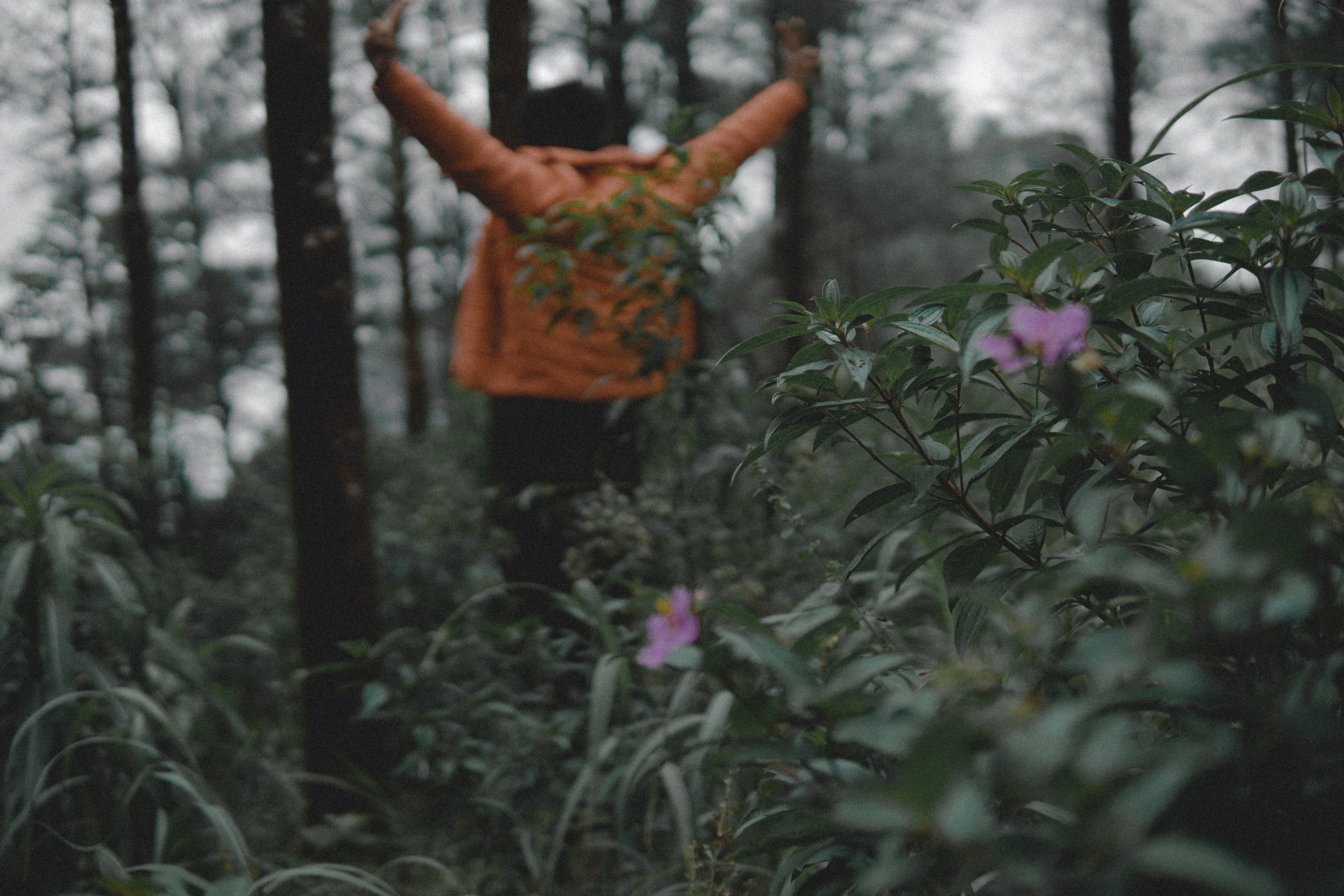 Man in forest