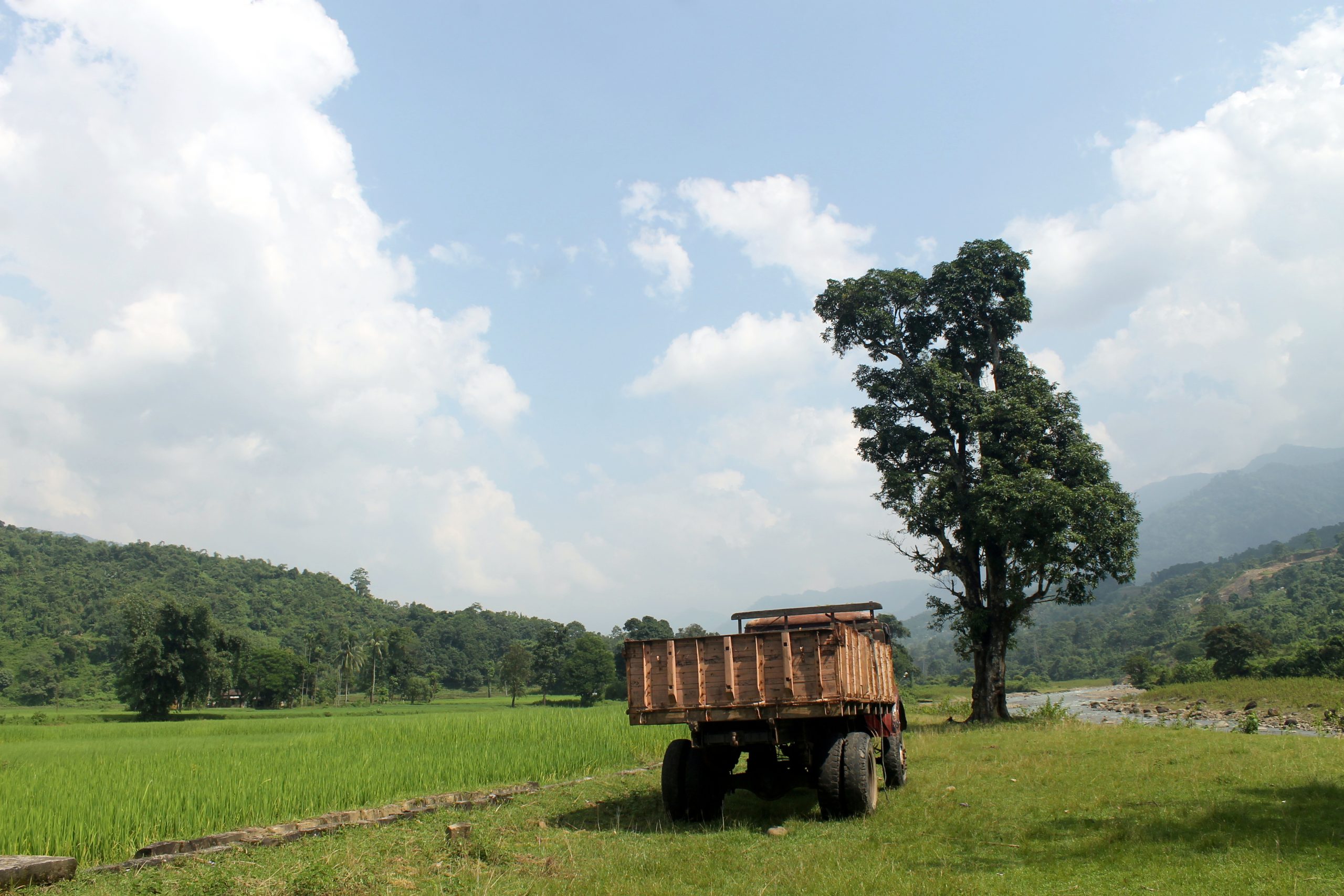 Agriculture field