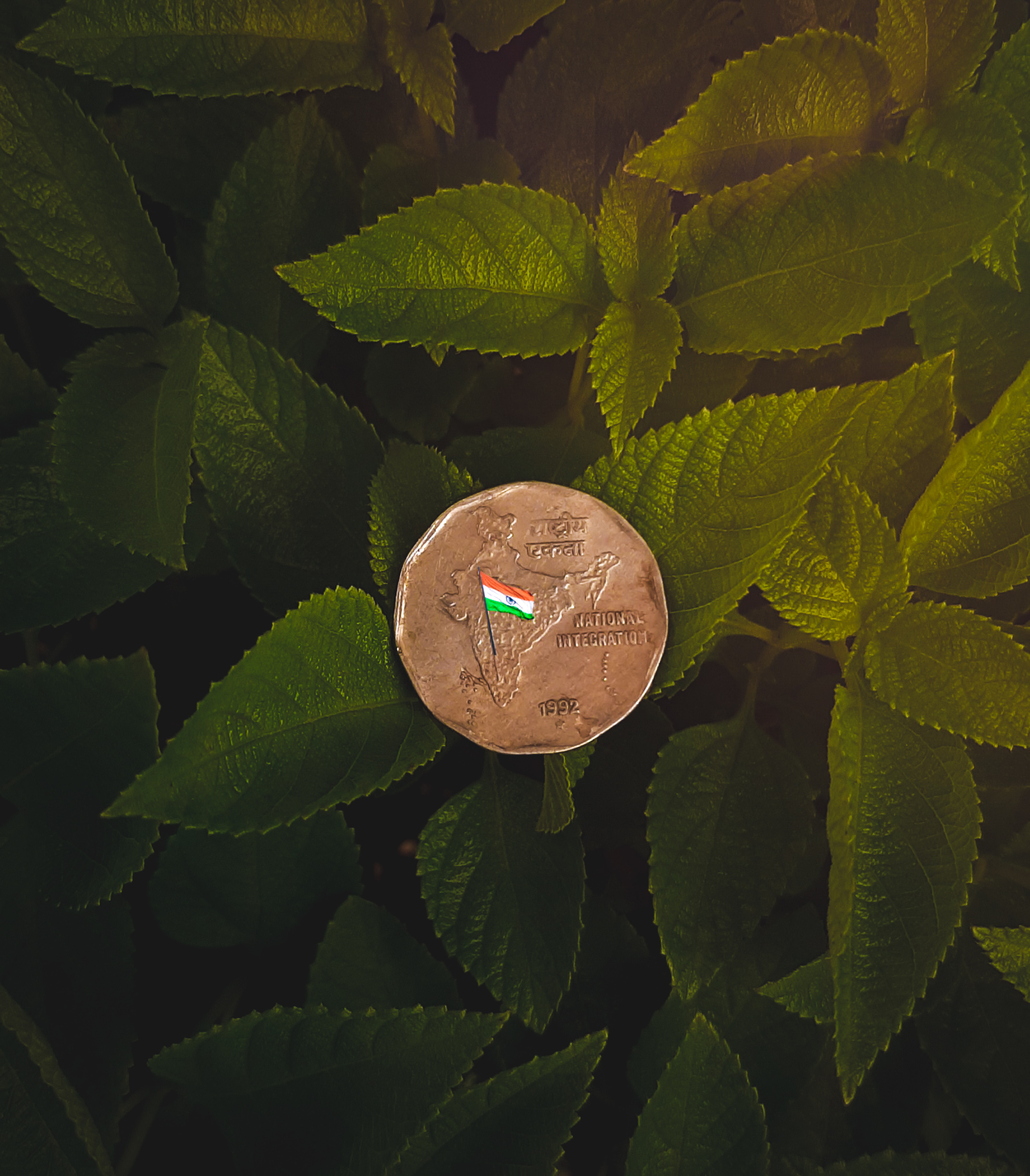 Indian Flag On Coin