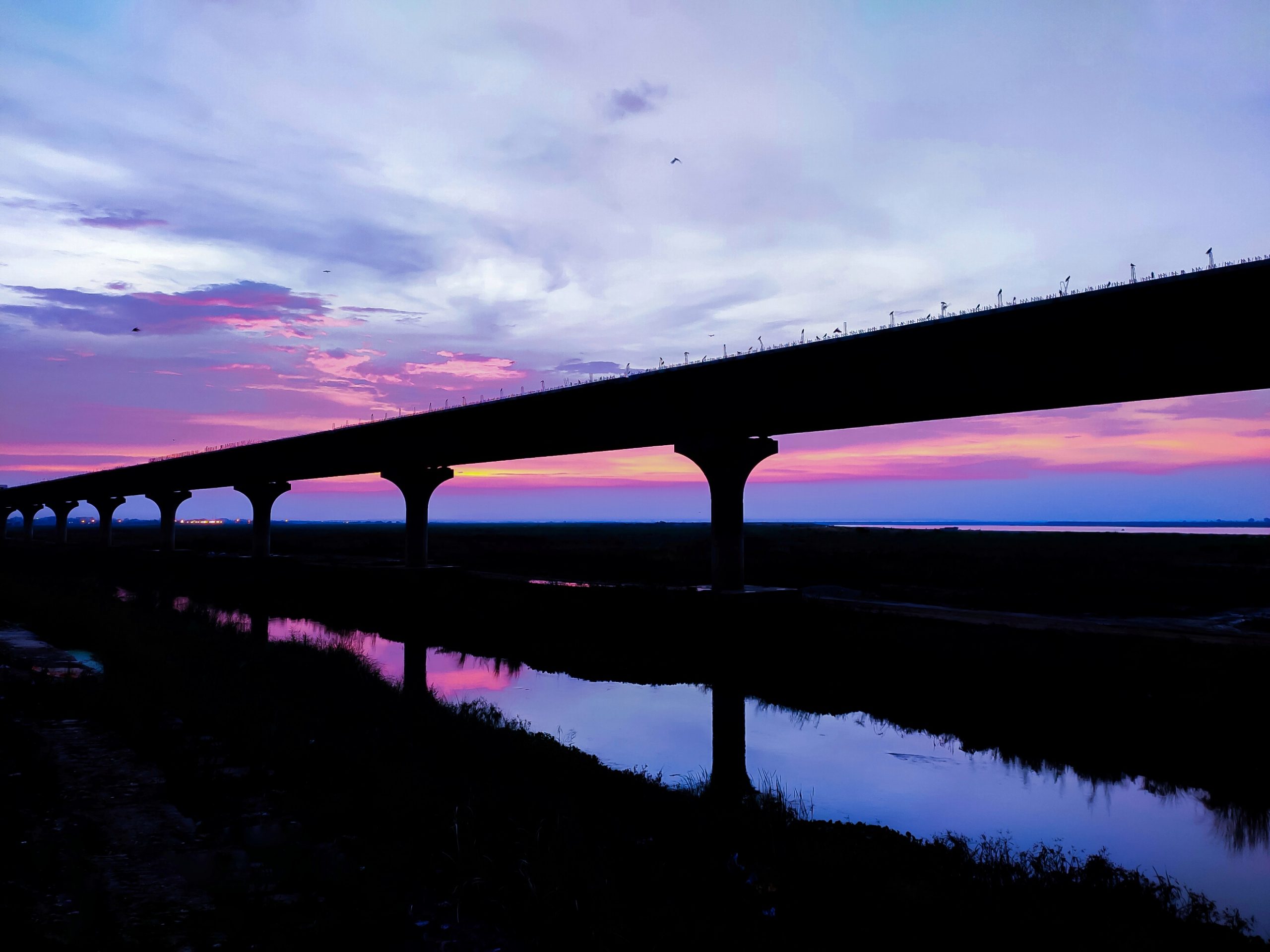 Bridge view