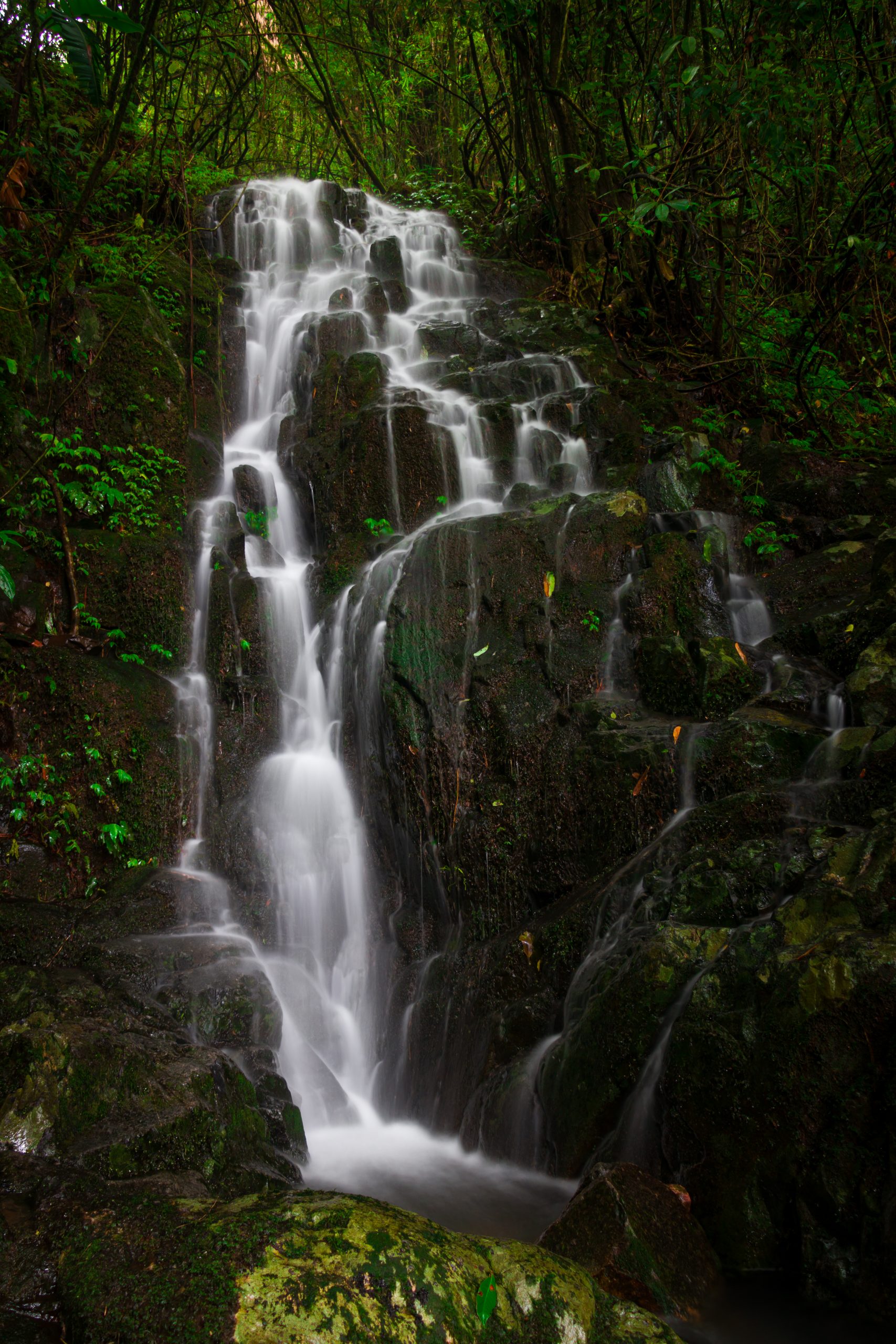 Waterfall