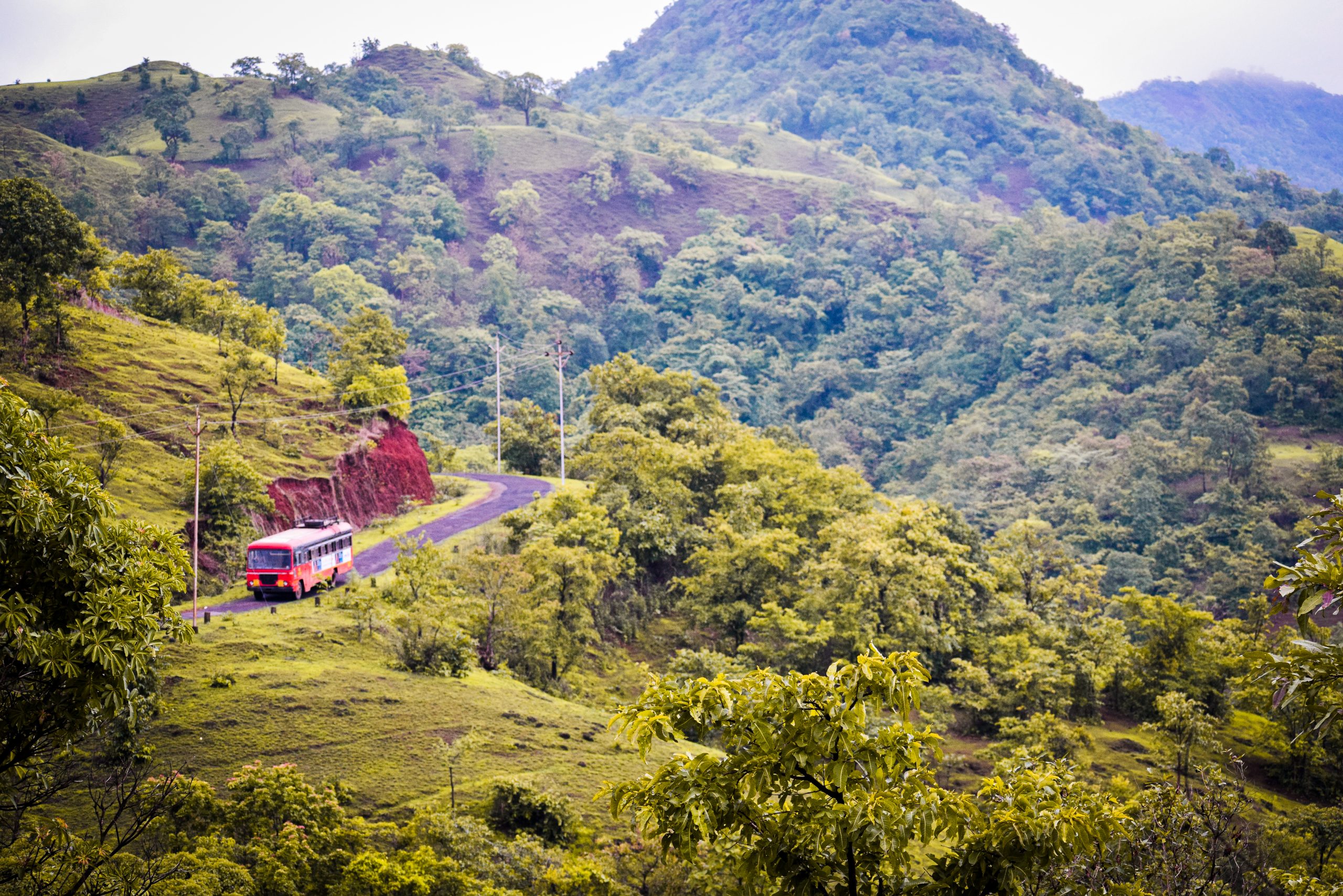 BUS in hills