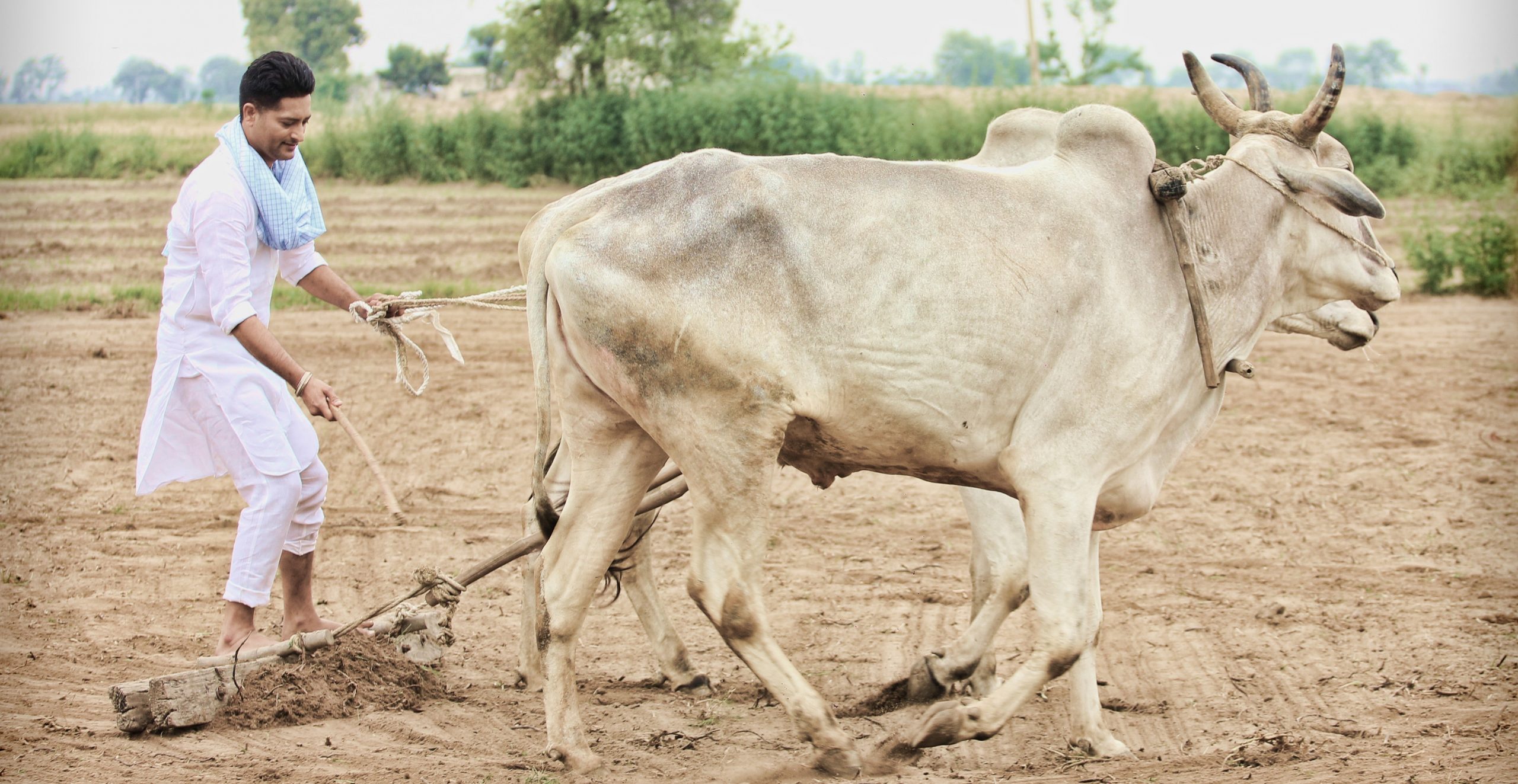 Farmer's life