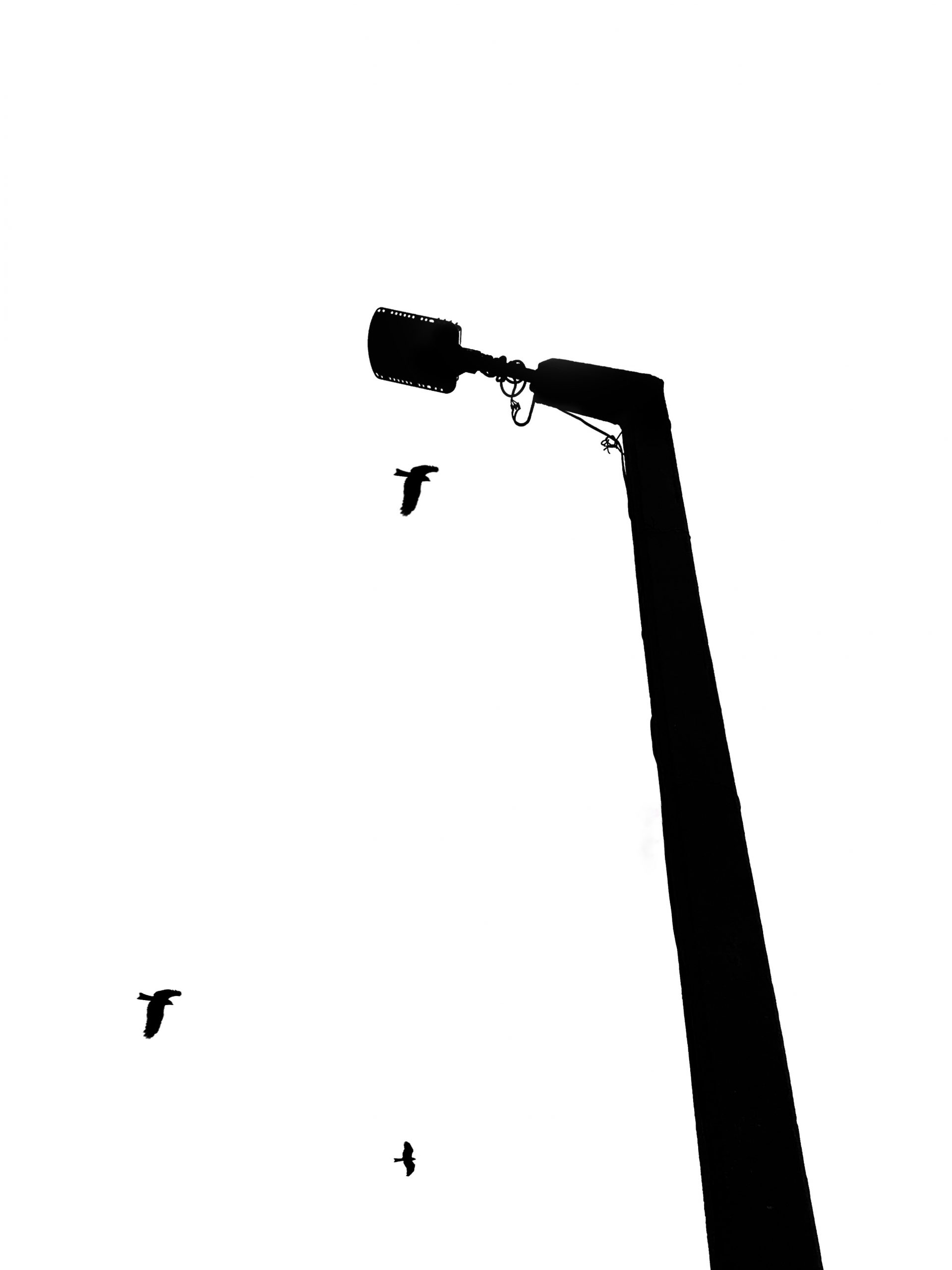 A light pole