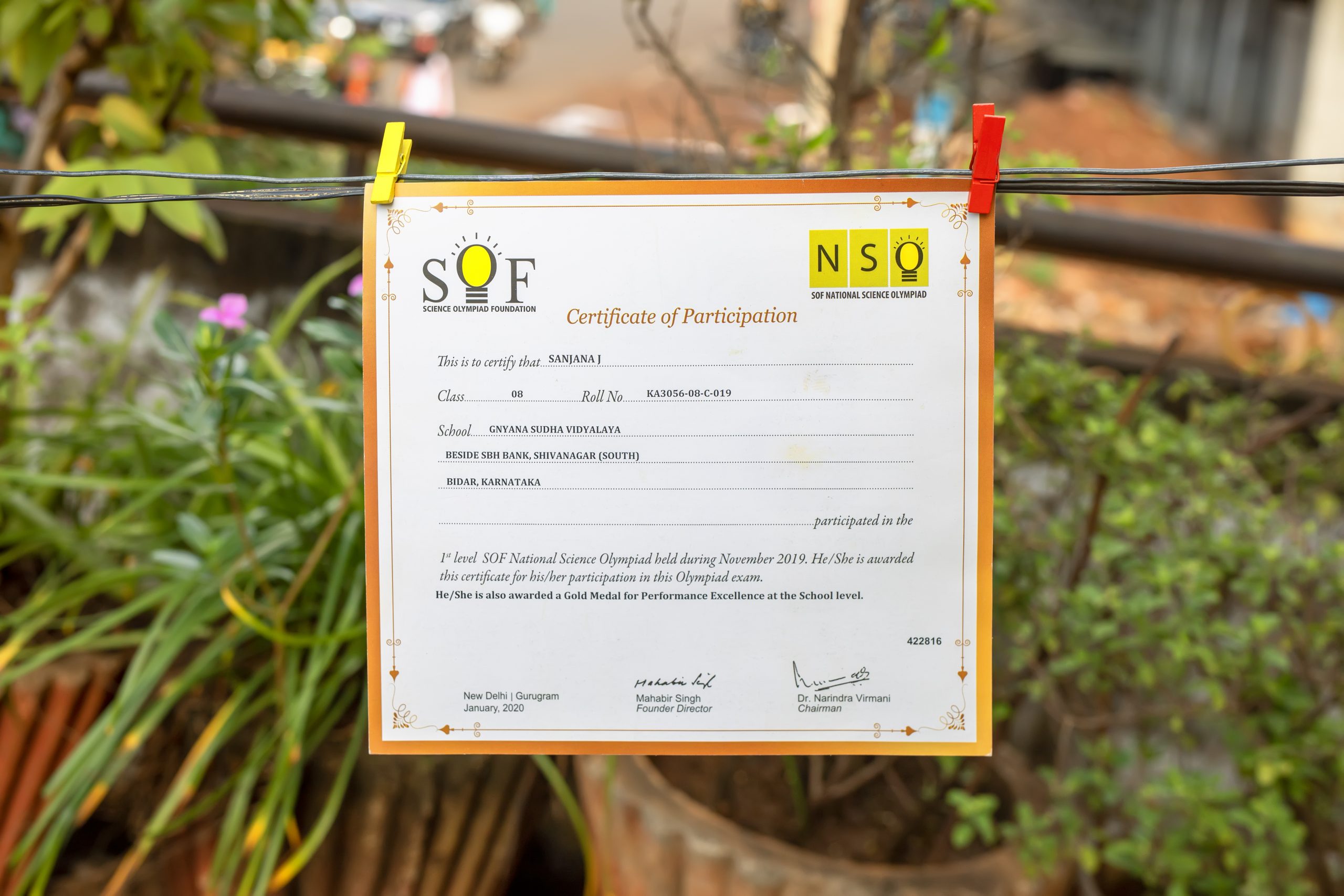 NSO certificate of participation