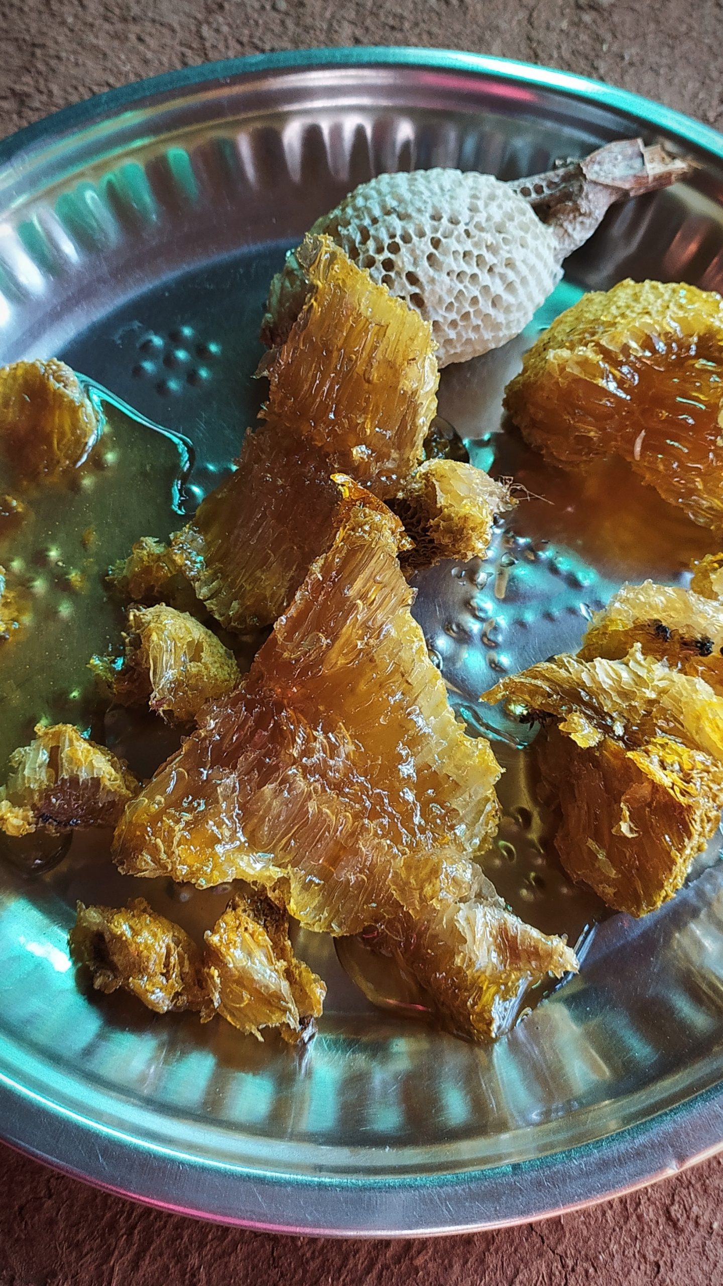 Natural honey in a plate