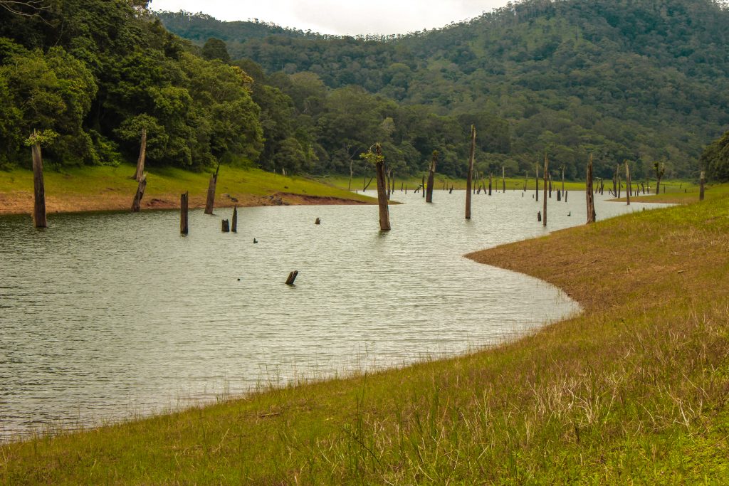 Periyar Lake PixaHive