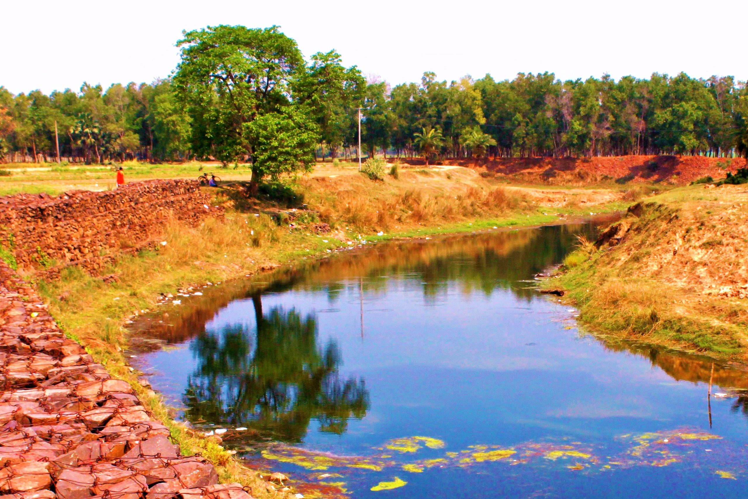 A pond