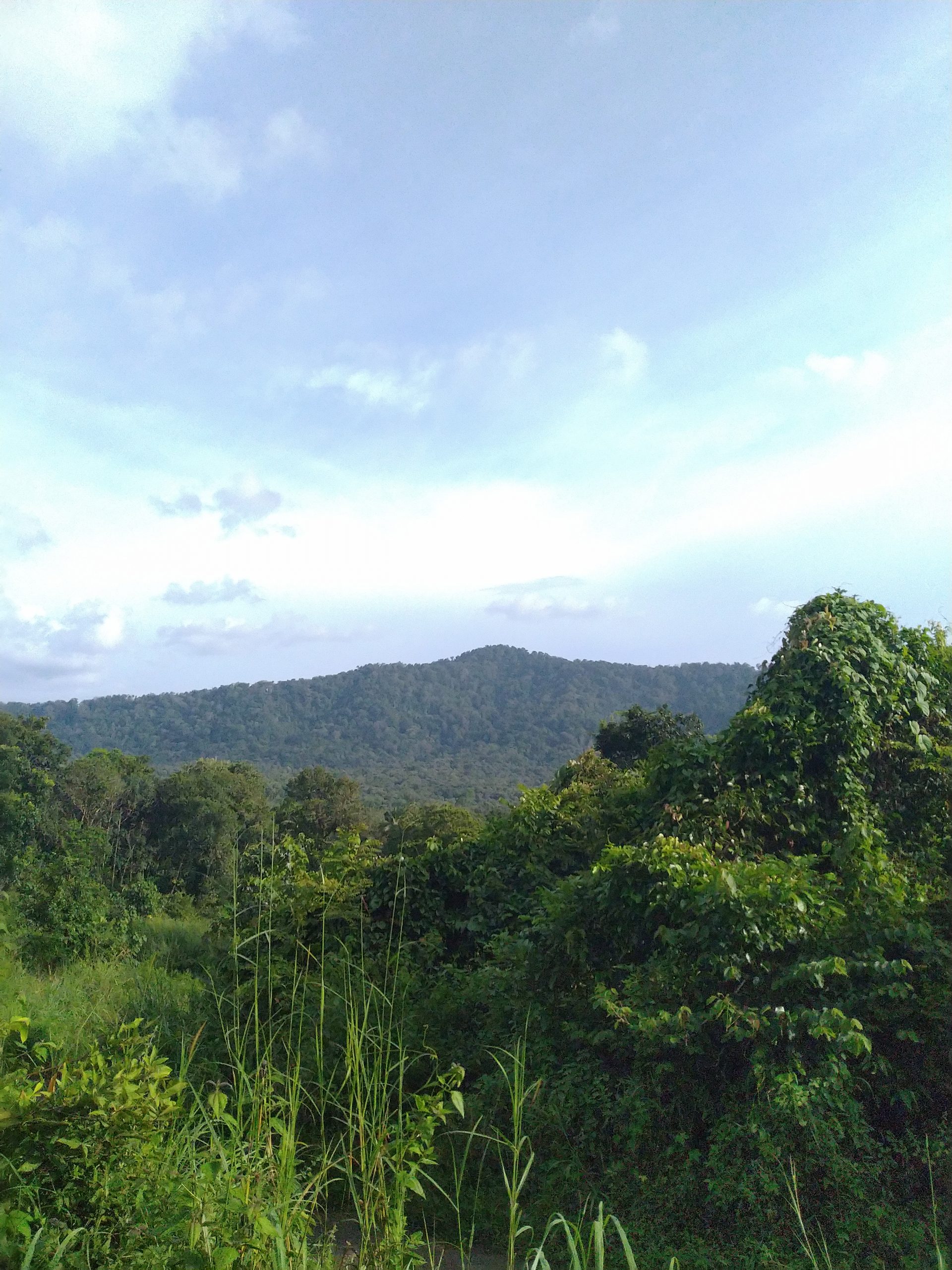 Scenery of hills and mountains