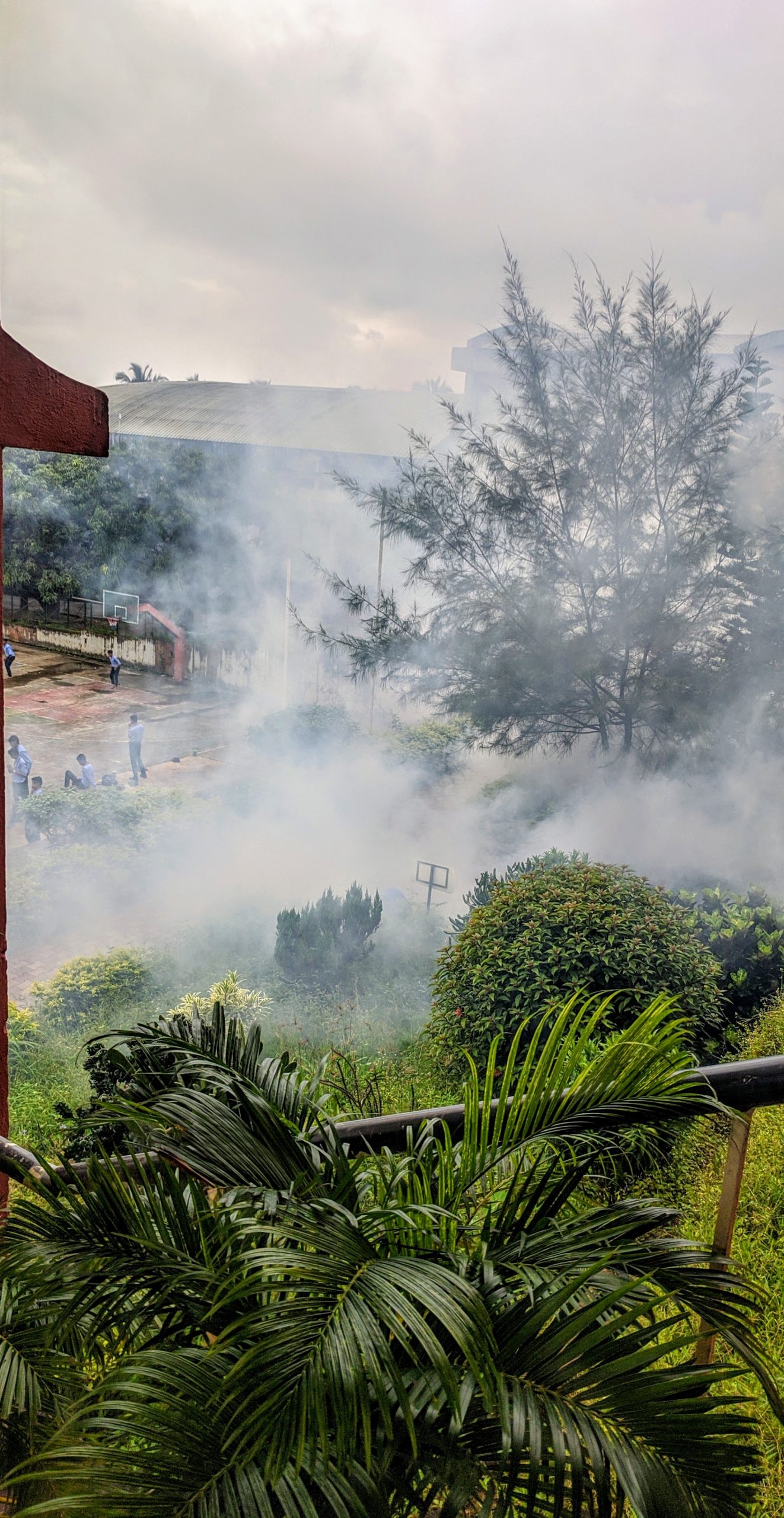 Smoke rising from land