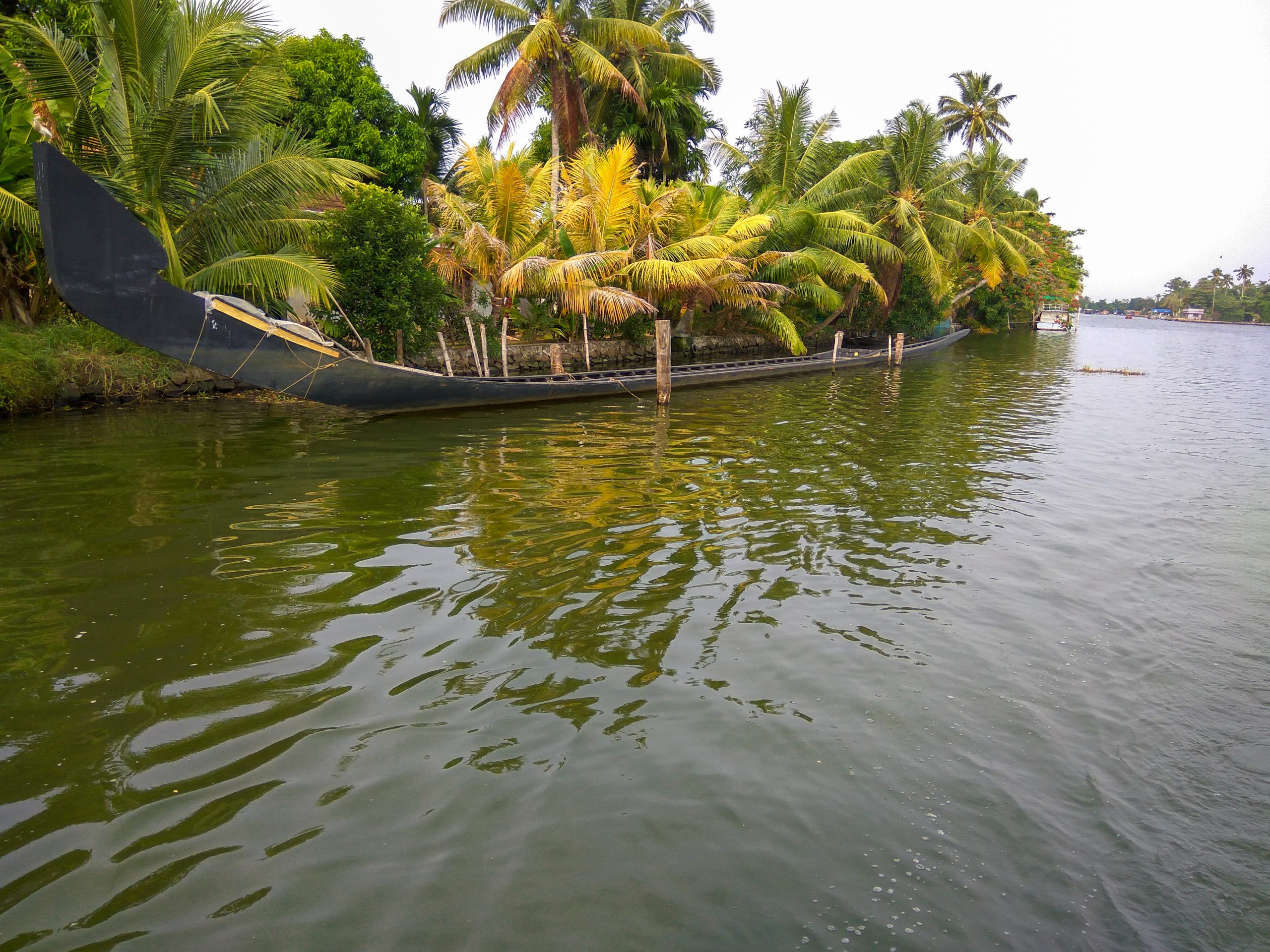 Snake boat