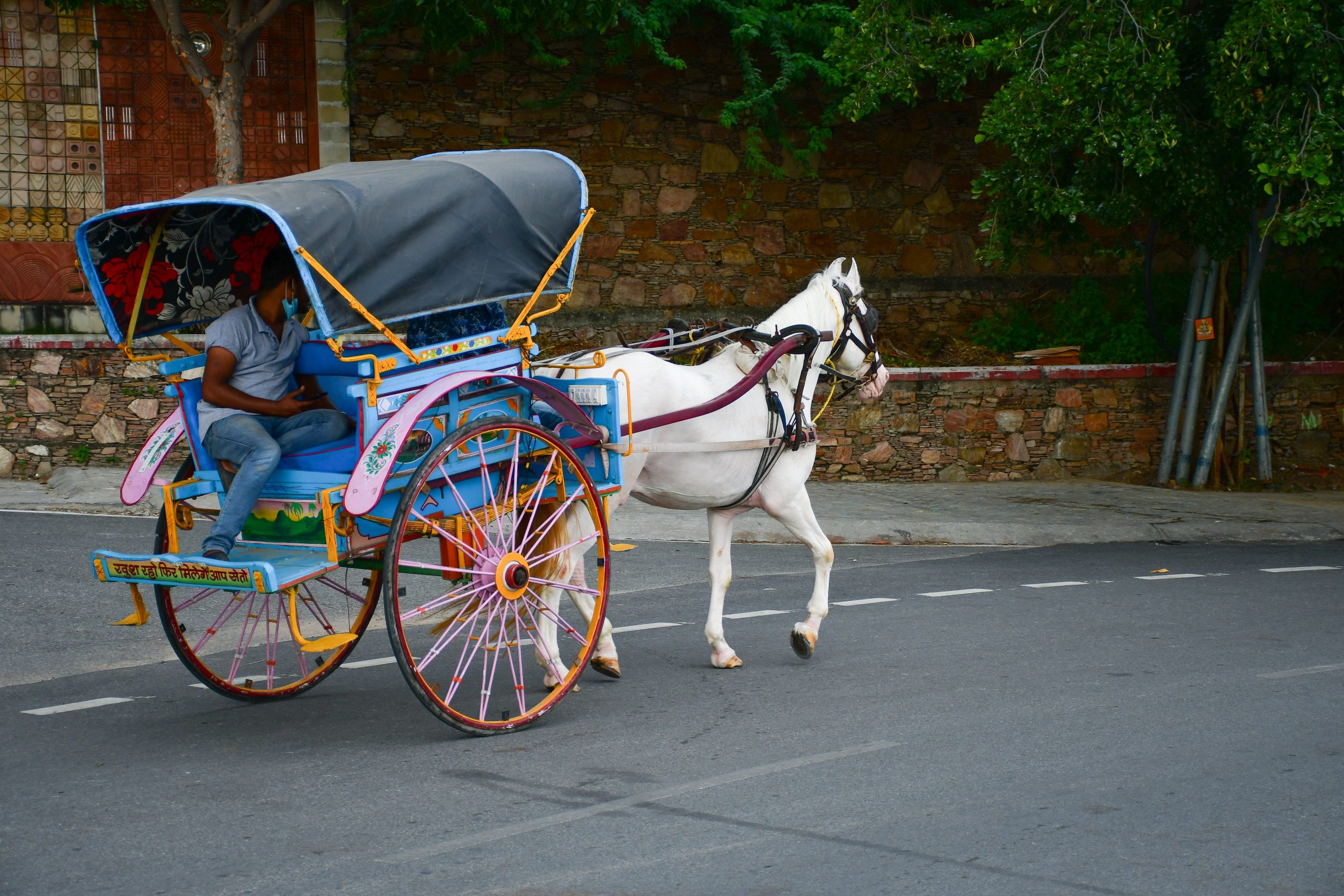 horse cart
