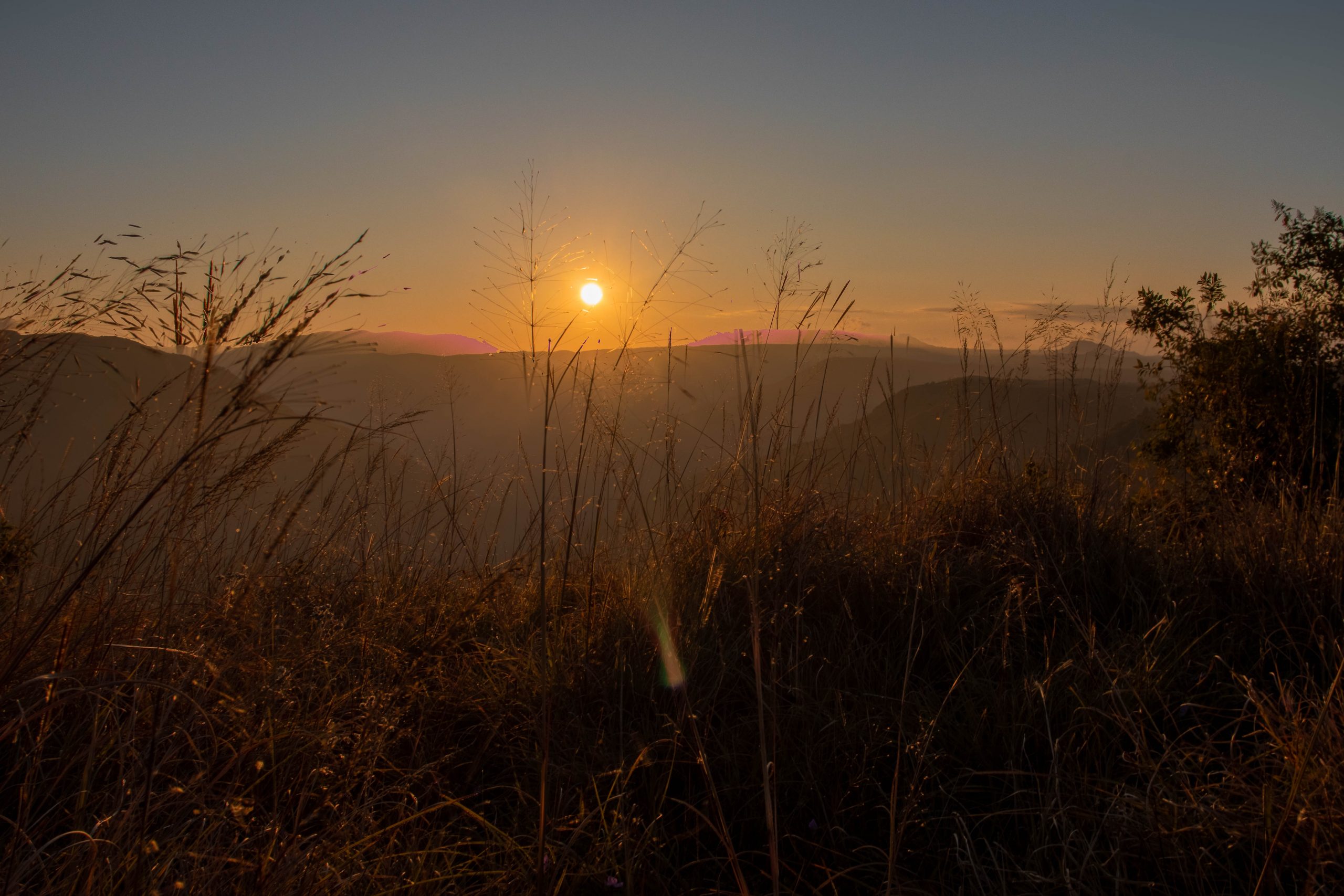 sunset view