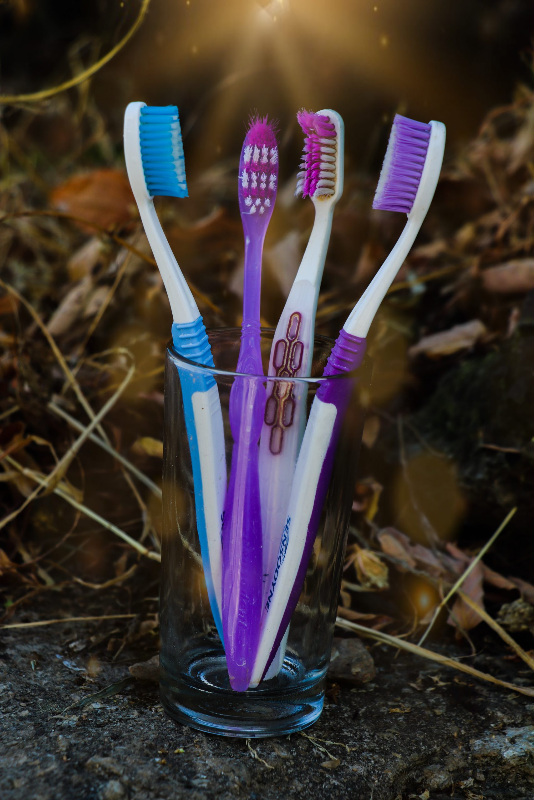 Tooth brushes in a glass