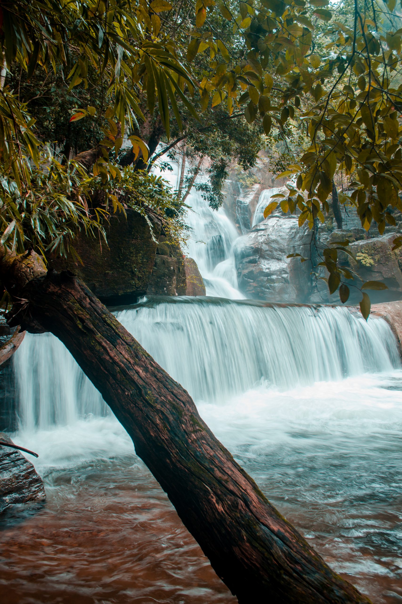 Compelling Vazhvanthol waterfalls.