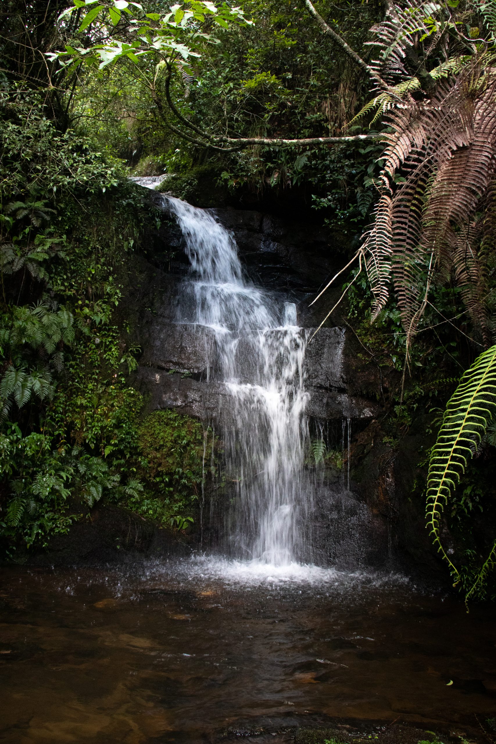 Waterfall in the Summer