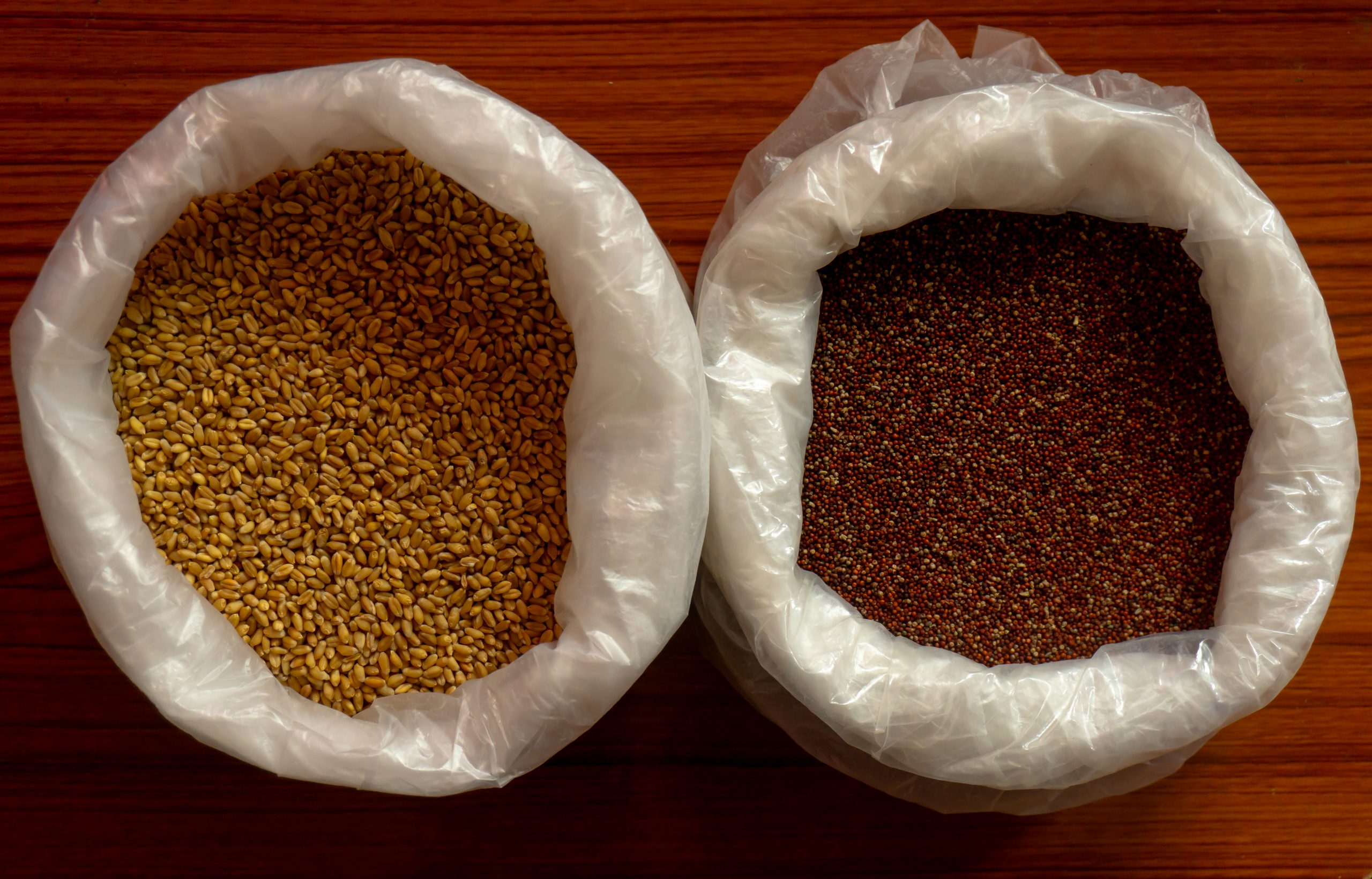 Wheat and Finger millet in two separate bags