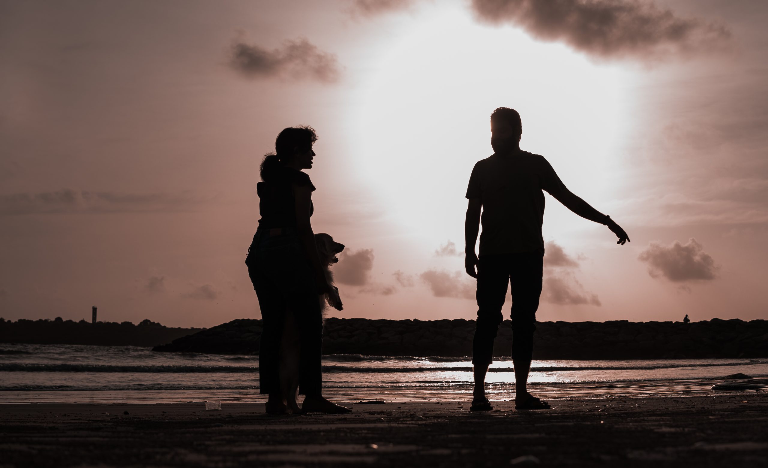 silhouette of couple with dog on the beach