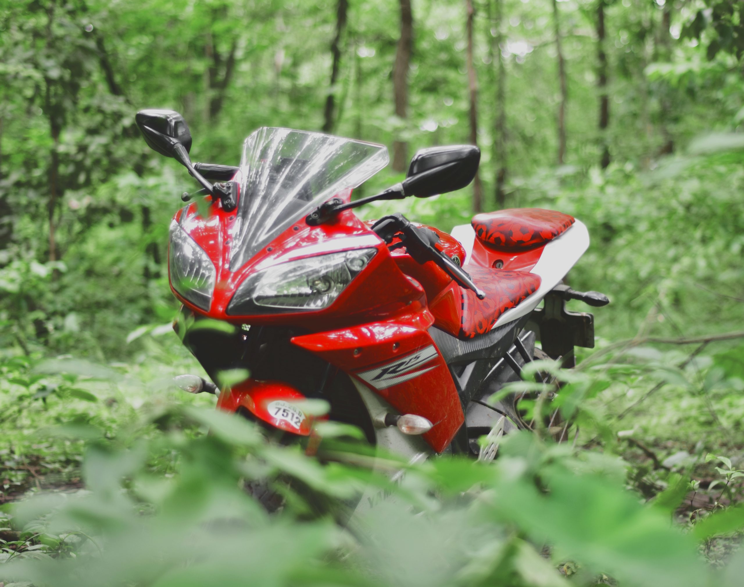 A bike in a forest