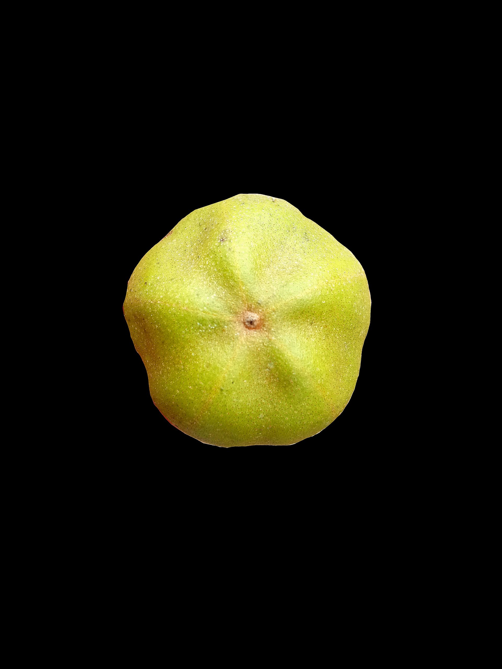 A fruit