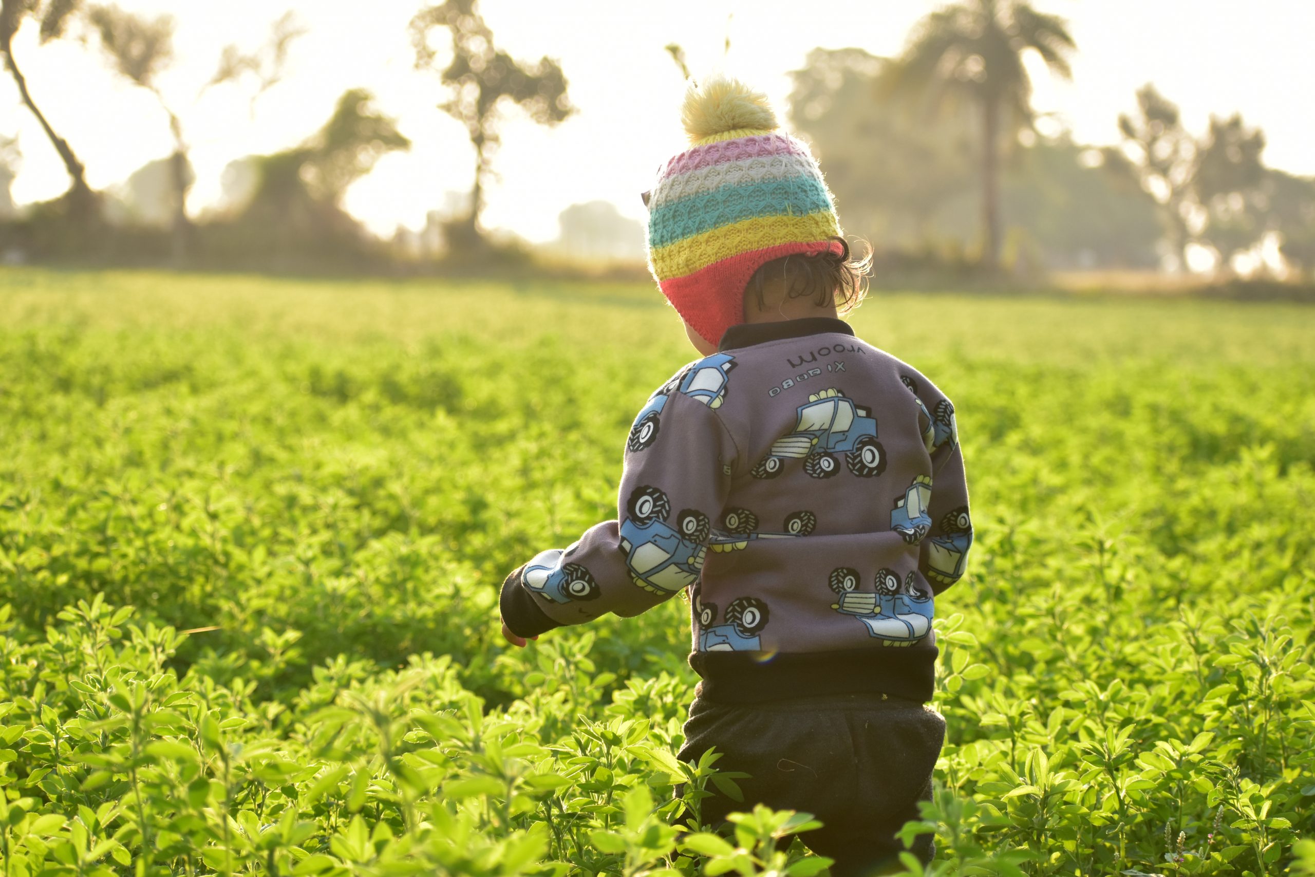 A kid in fields