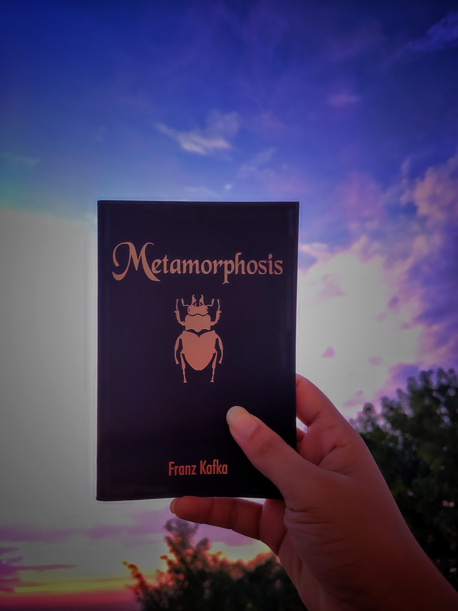 A metamorphosis Book in hand