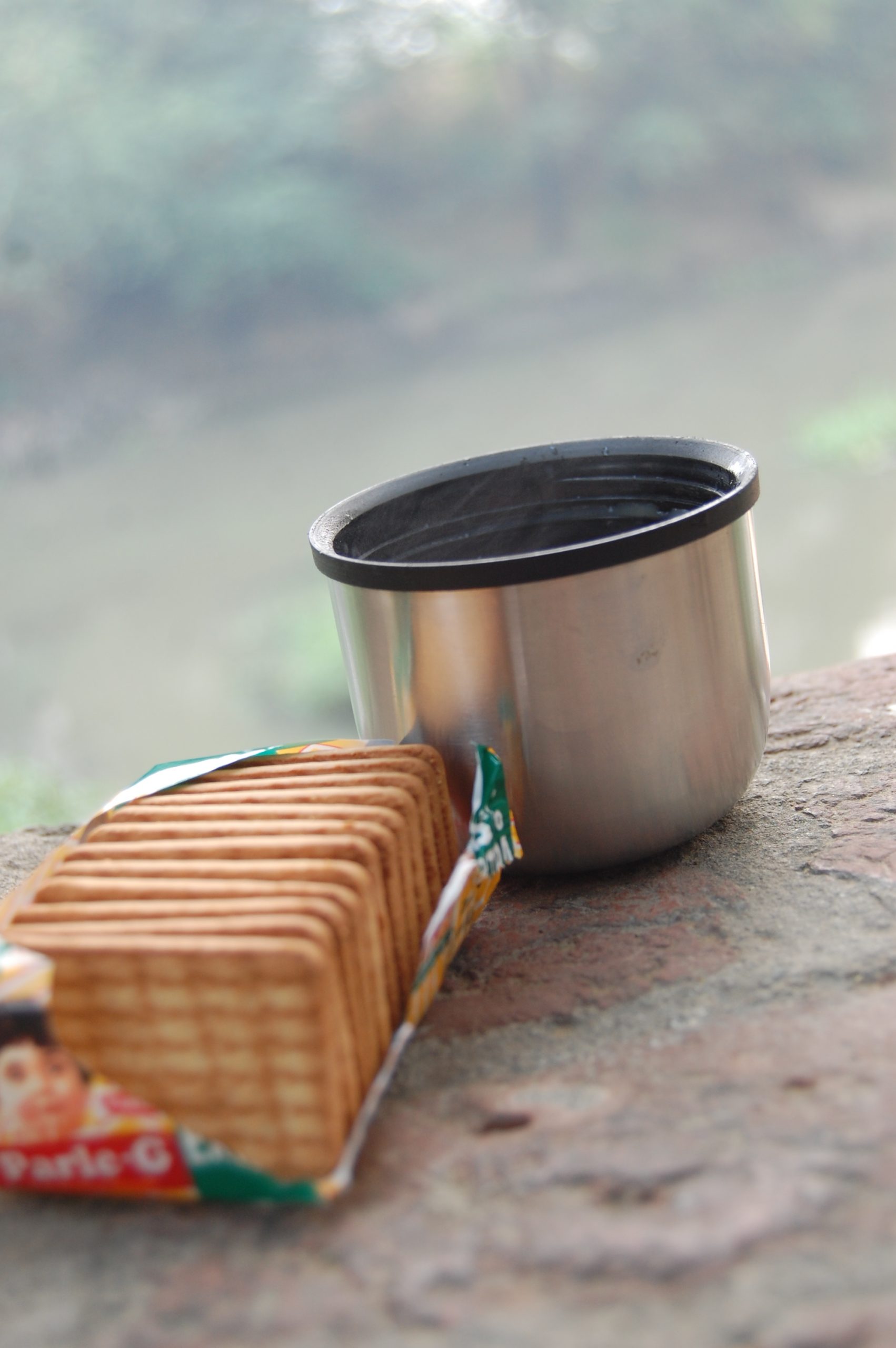 A tea cup and biscuits