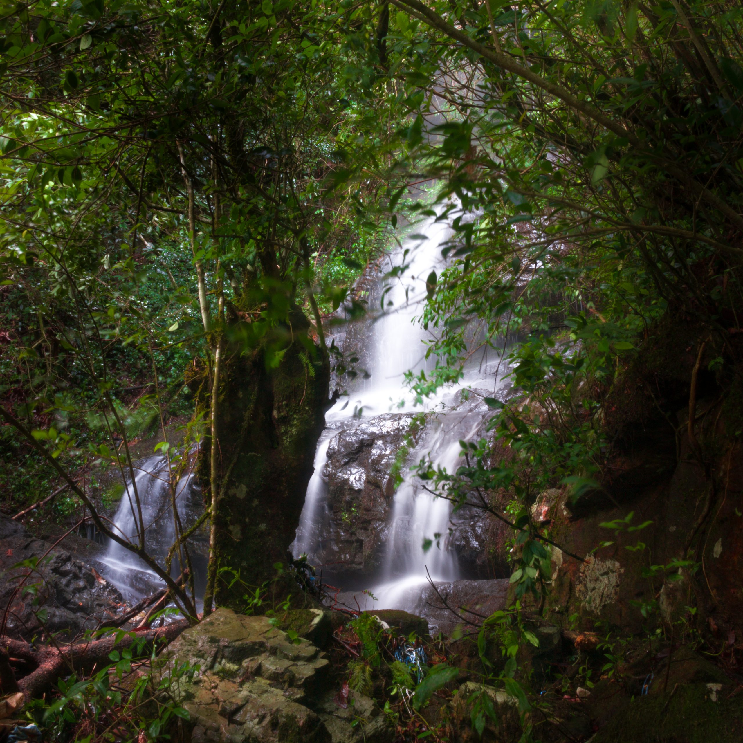 A waterfall in jungle