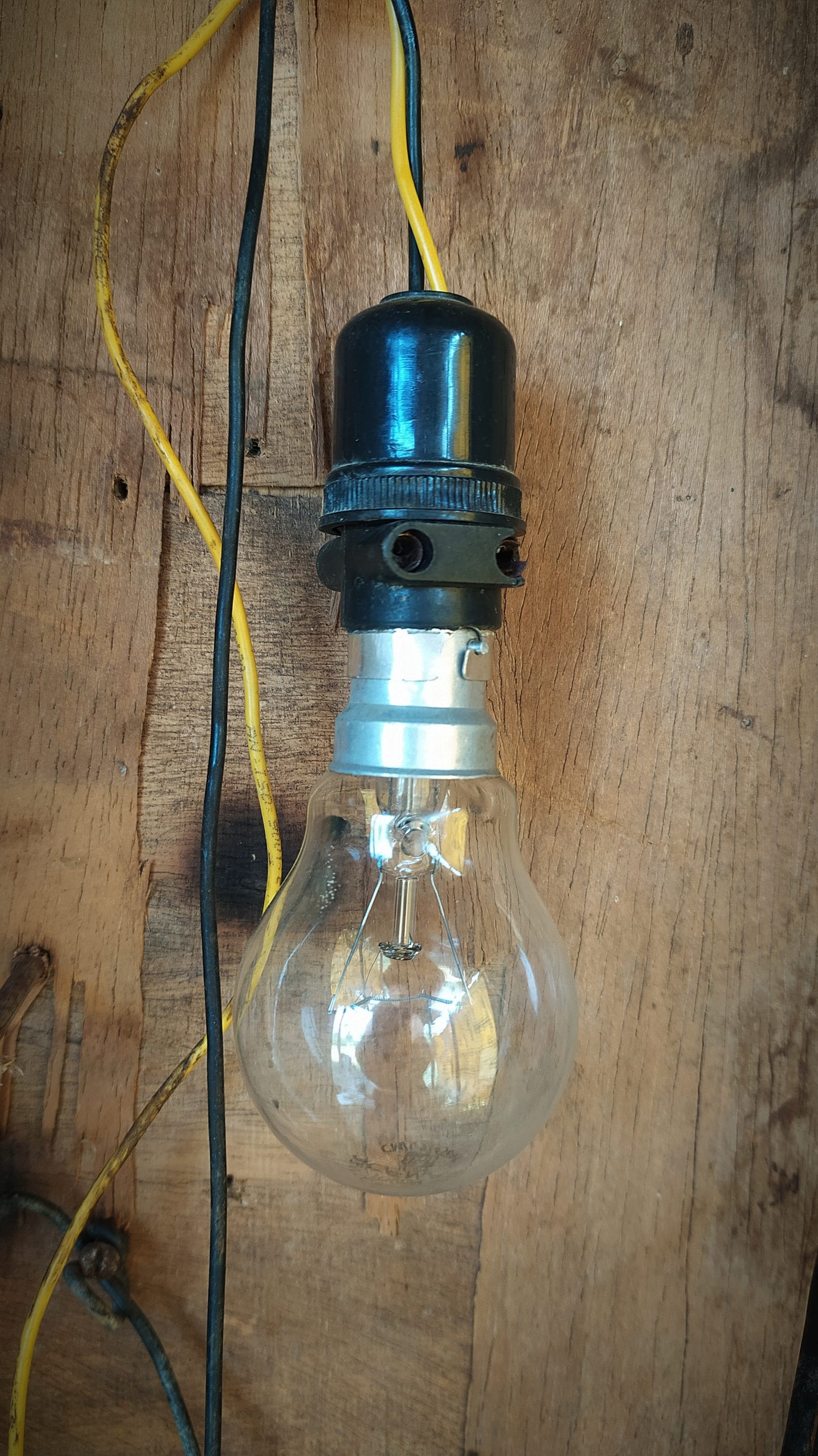 An incandescent light bulb