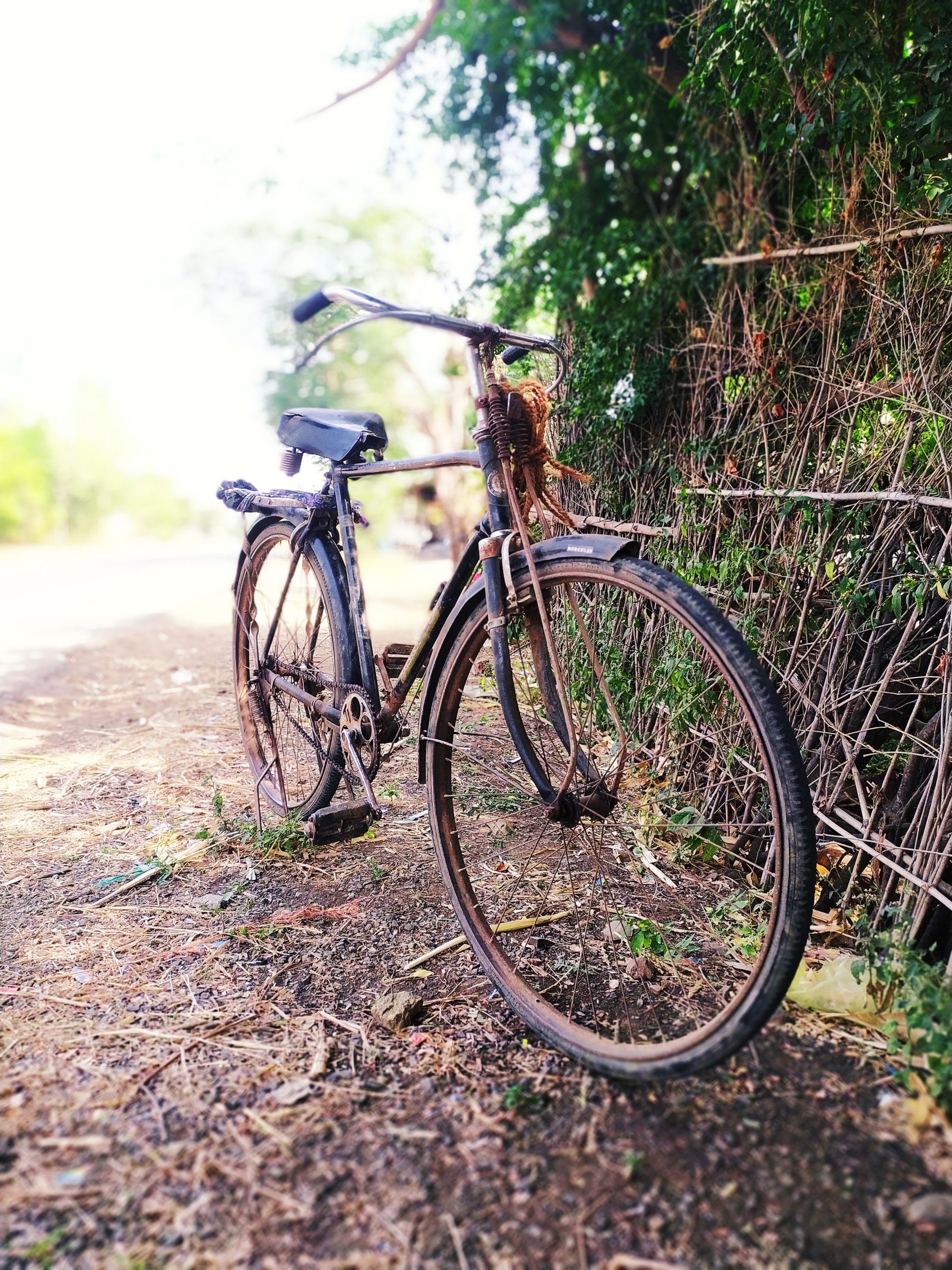 An old bicycle