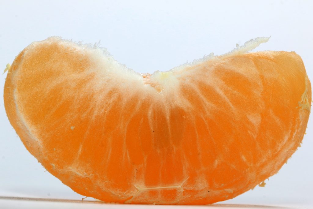 An orange pulp PixaHive