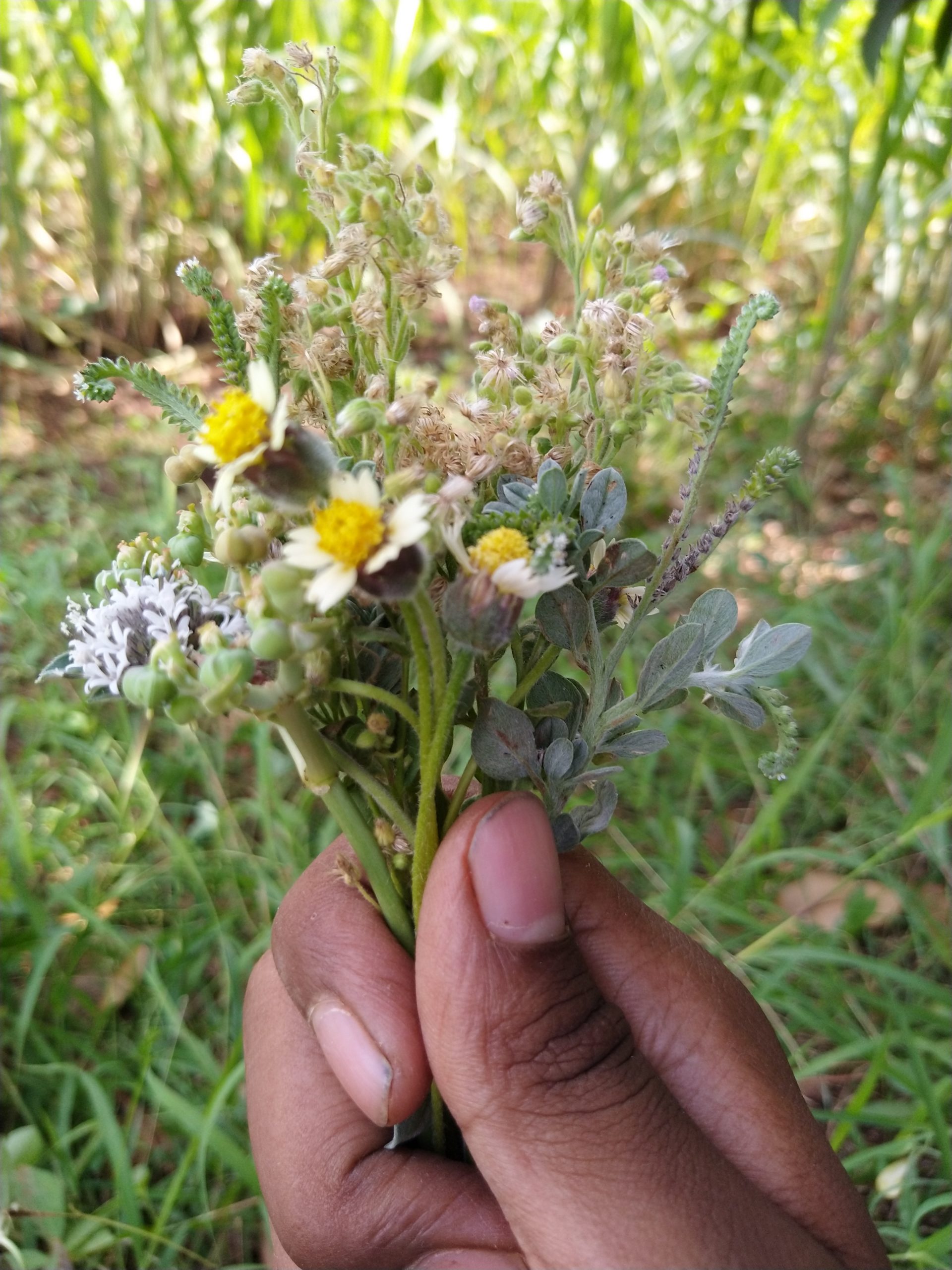 A bunch of flowers in hand