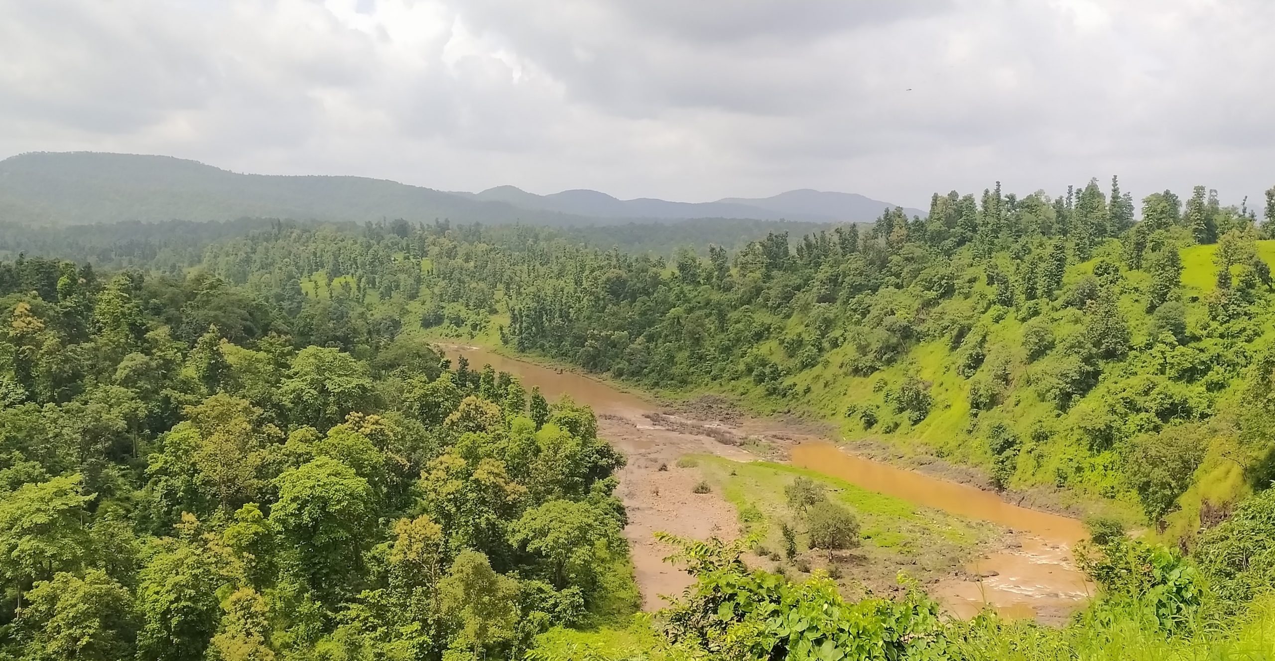 Beautiful Green Landscape