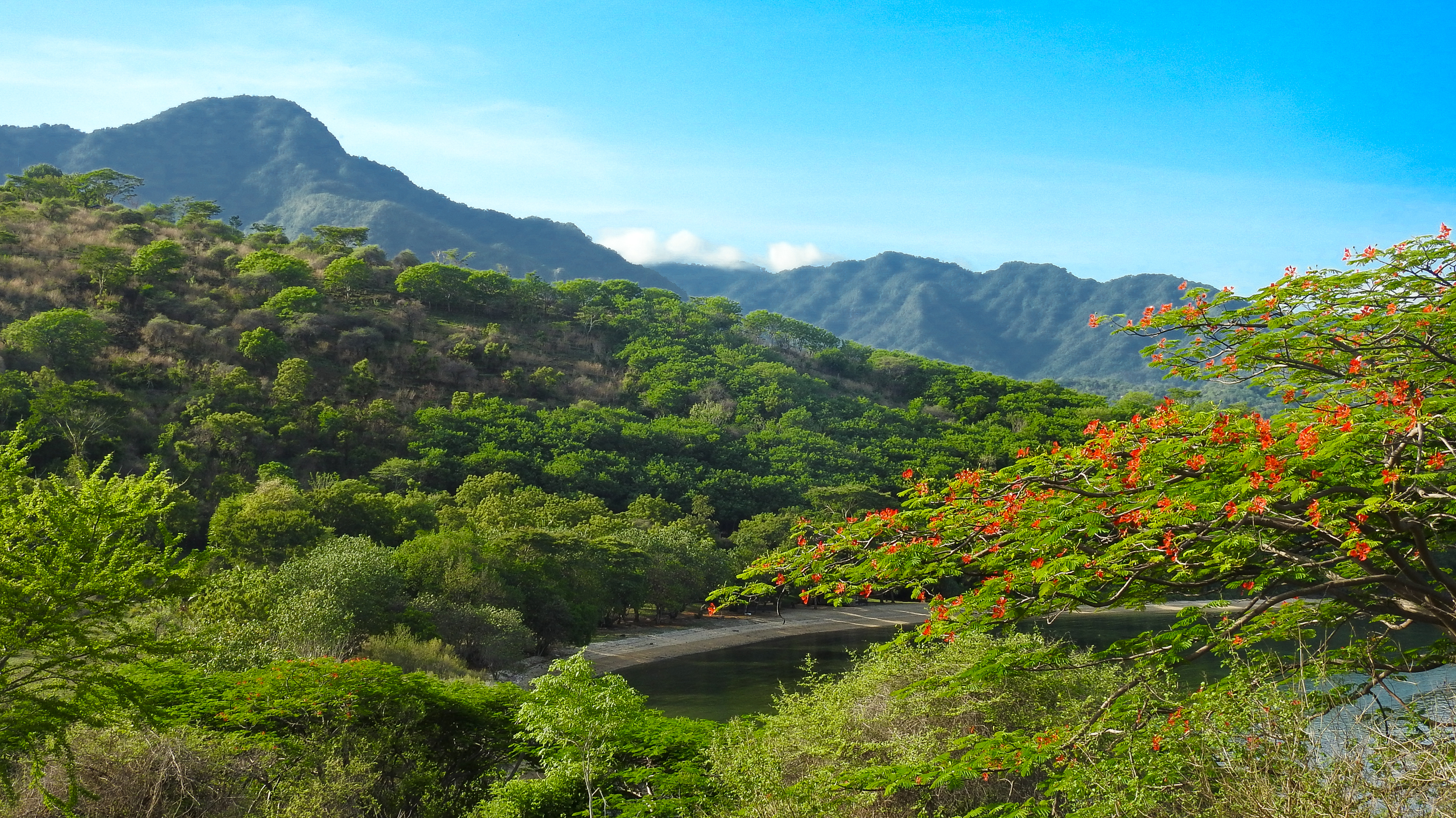 Beauty of Green Valley