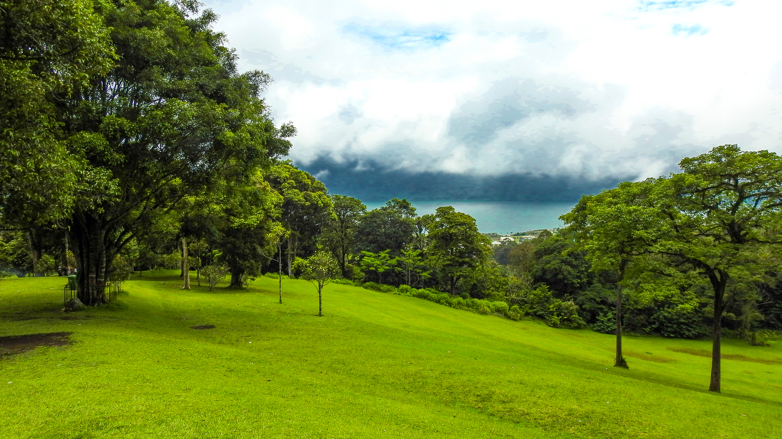 Beauty of greenery