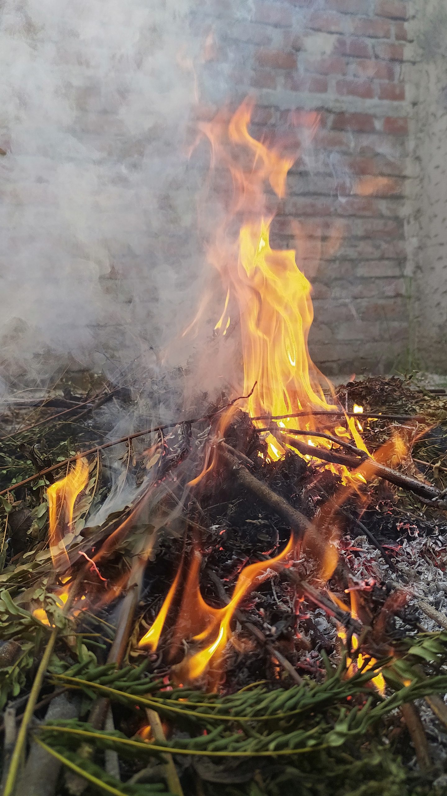 Burning twigs and dry leaves