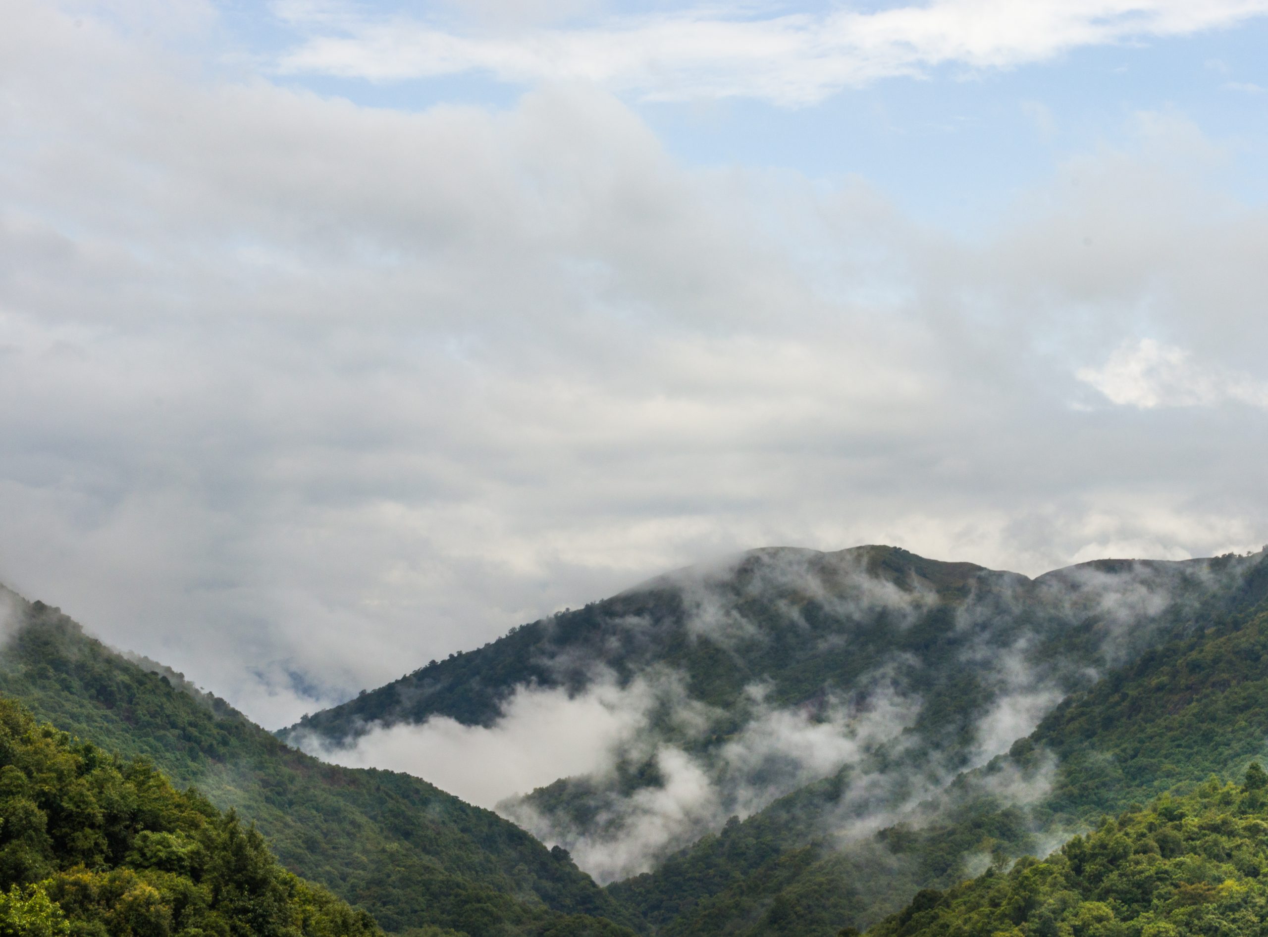 Nature Landscape